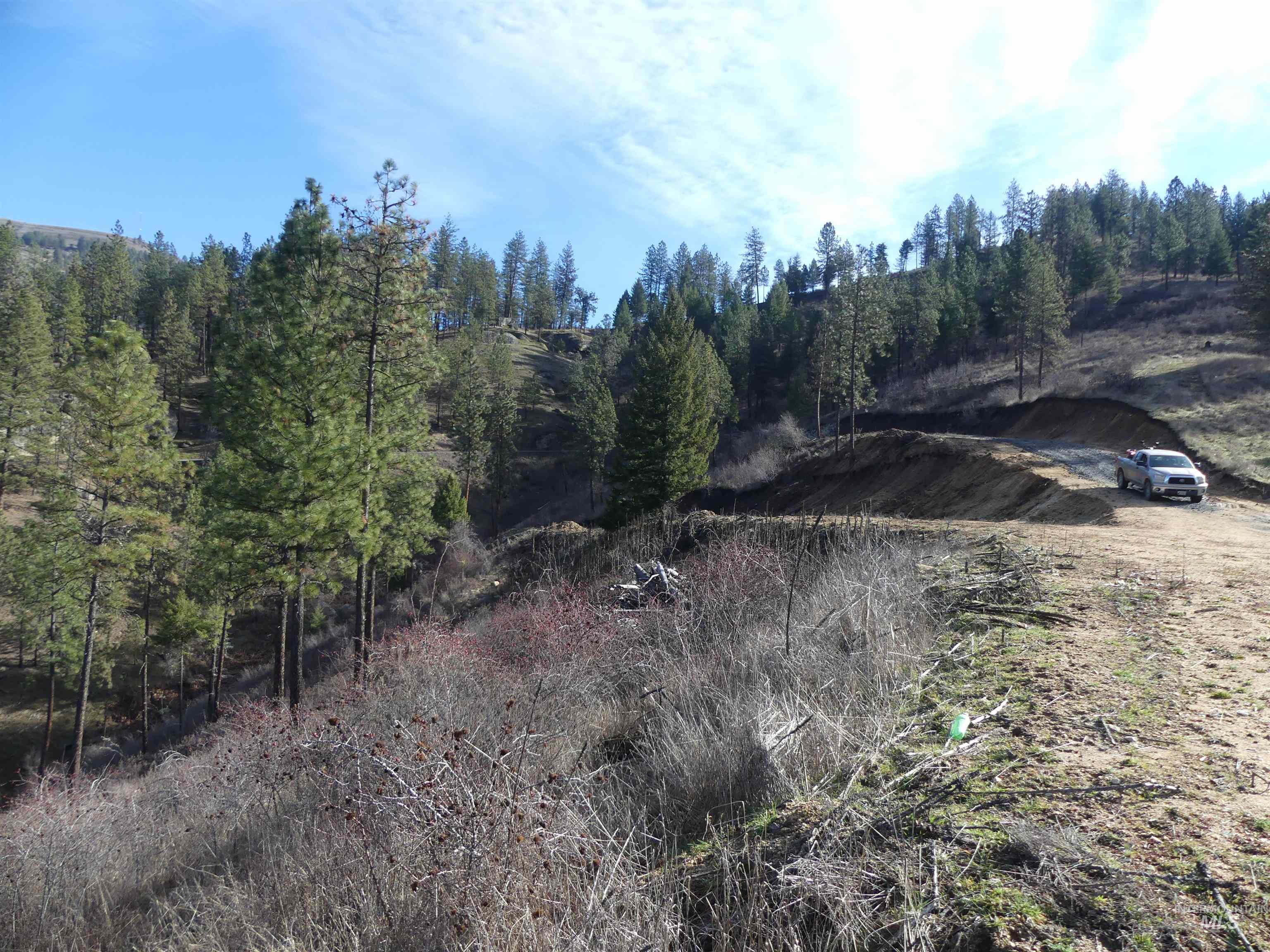 1404 Carrot Ridge Road Kamiah, ID 83536 - Photo 20 of 31