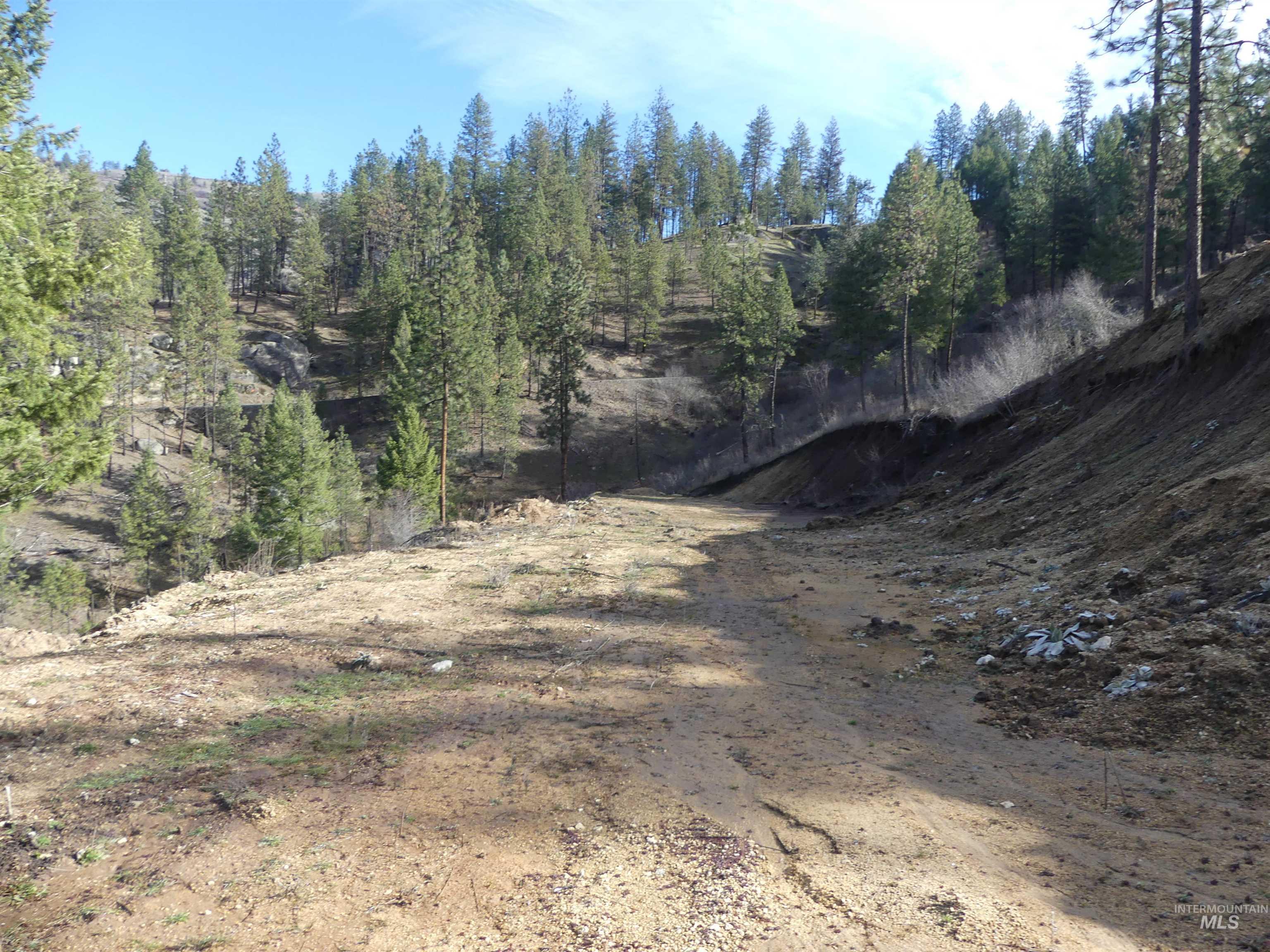 1404 Carrot Ridge Road Kamiah, ID 83536 - Photo 25 of 31