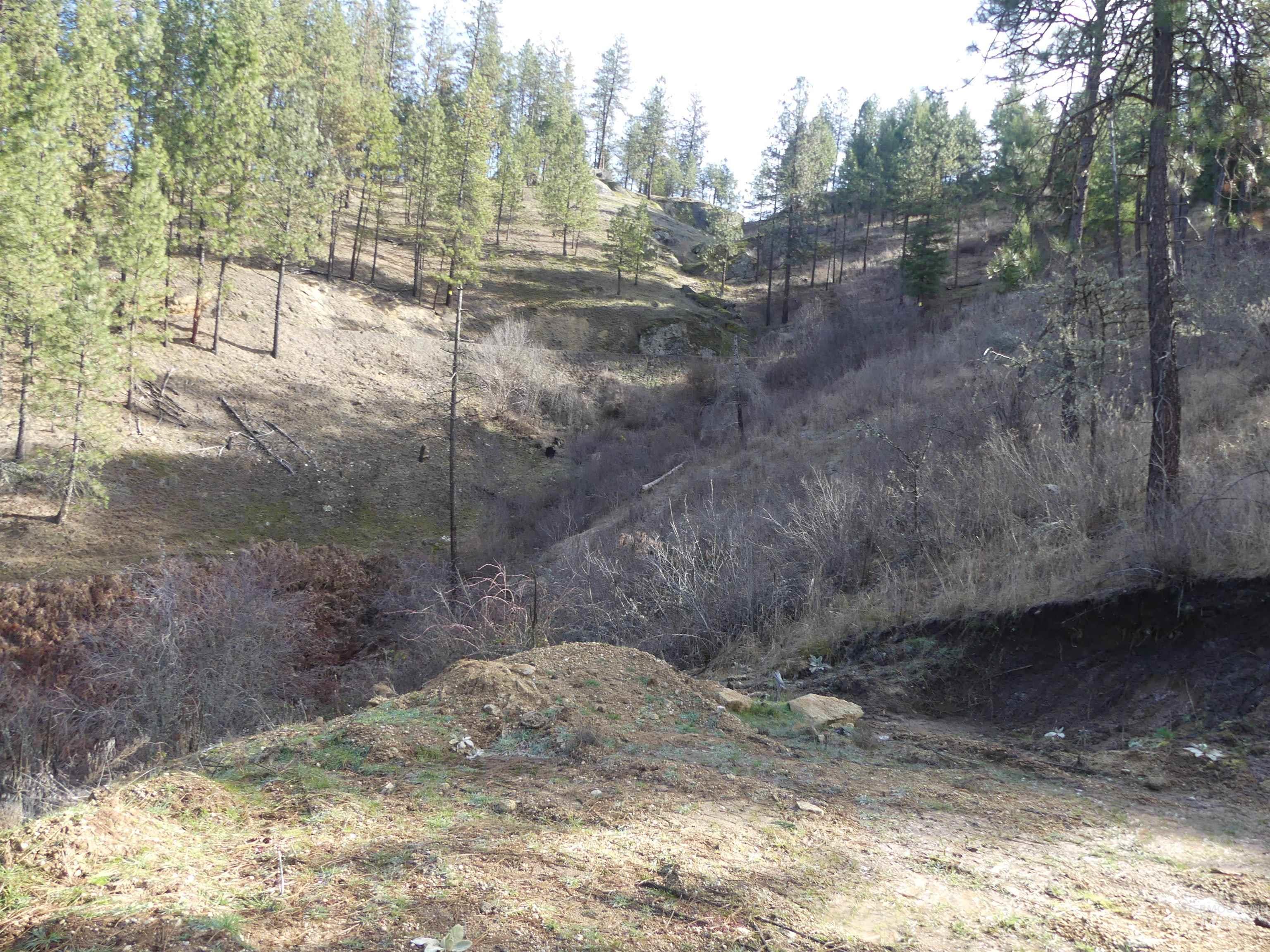 1404 Carrot Ridge Road Kamiah, ID 83536 - Photo 26 of 31