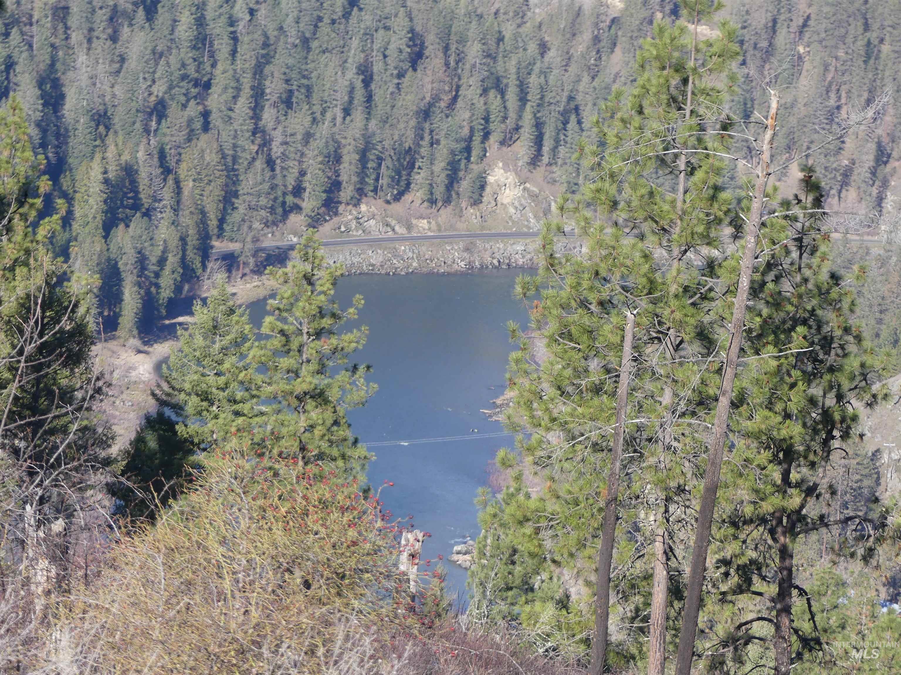 1404 Carrot Ridge Road Kamiah, ID 83536 - Photo 30 of 31