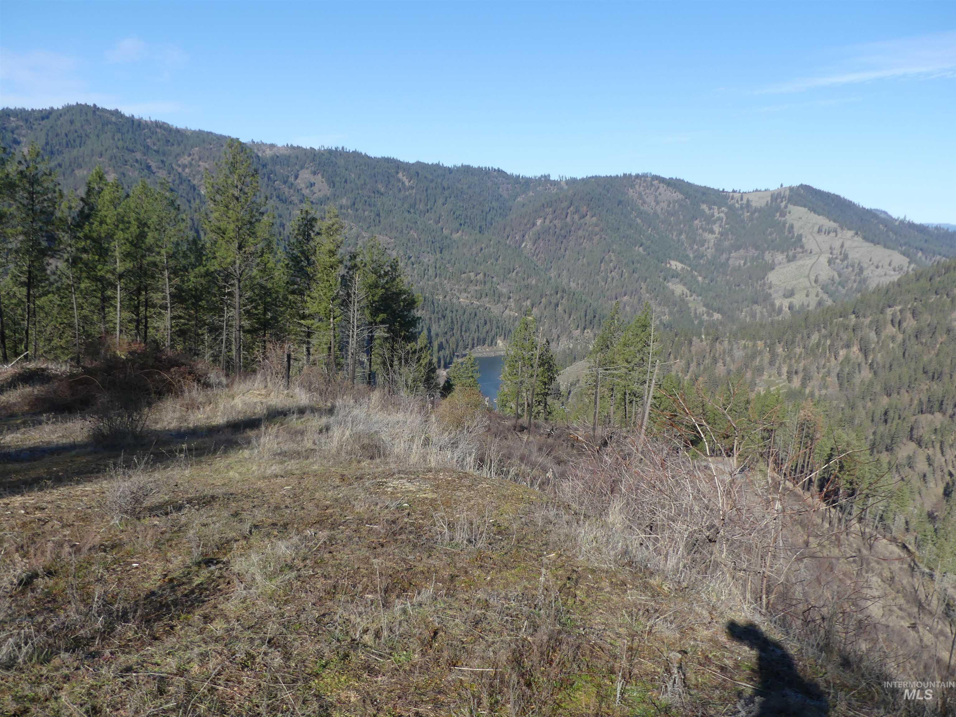 1404 Carrot Ridge Road Kamiah, ID 83536 - Photo 31 of 31