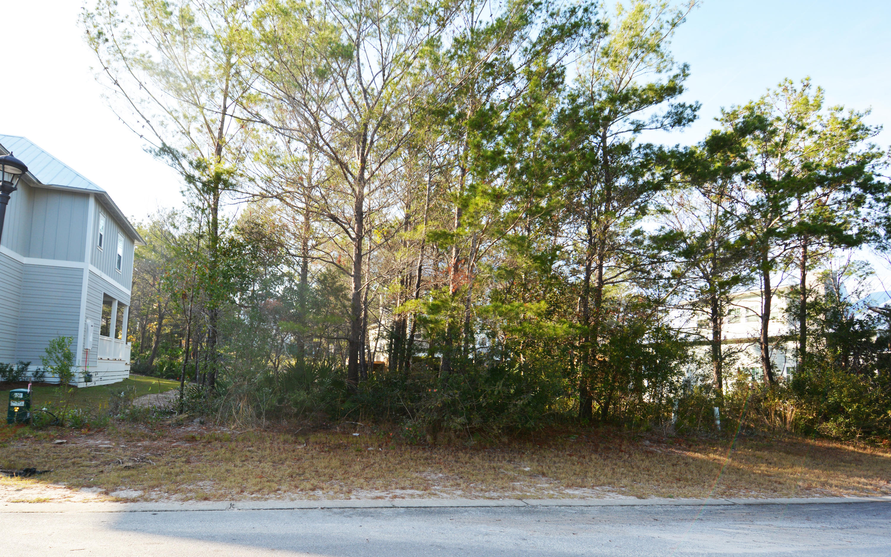 Lot 49 Grande Pointe Inlet Beach Inlet Beach, FL 32461 - Photo 3 of 9 a view of a yard