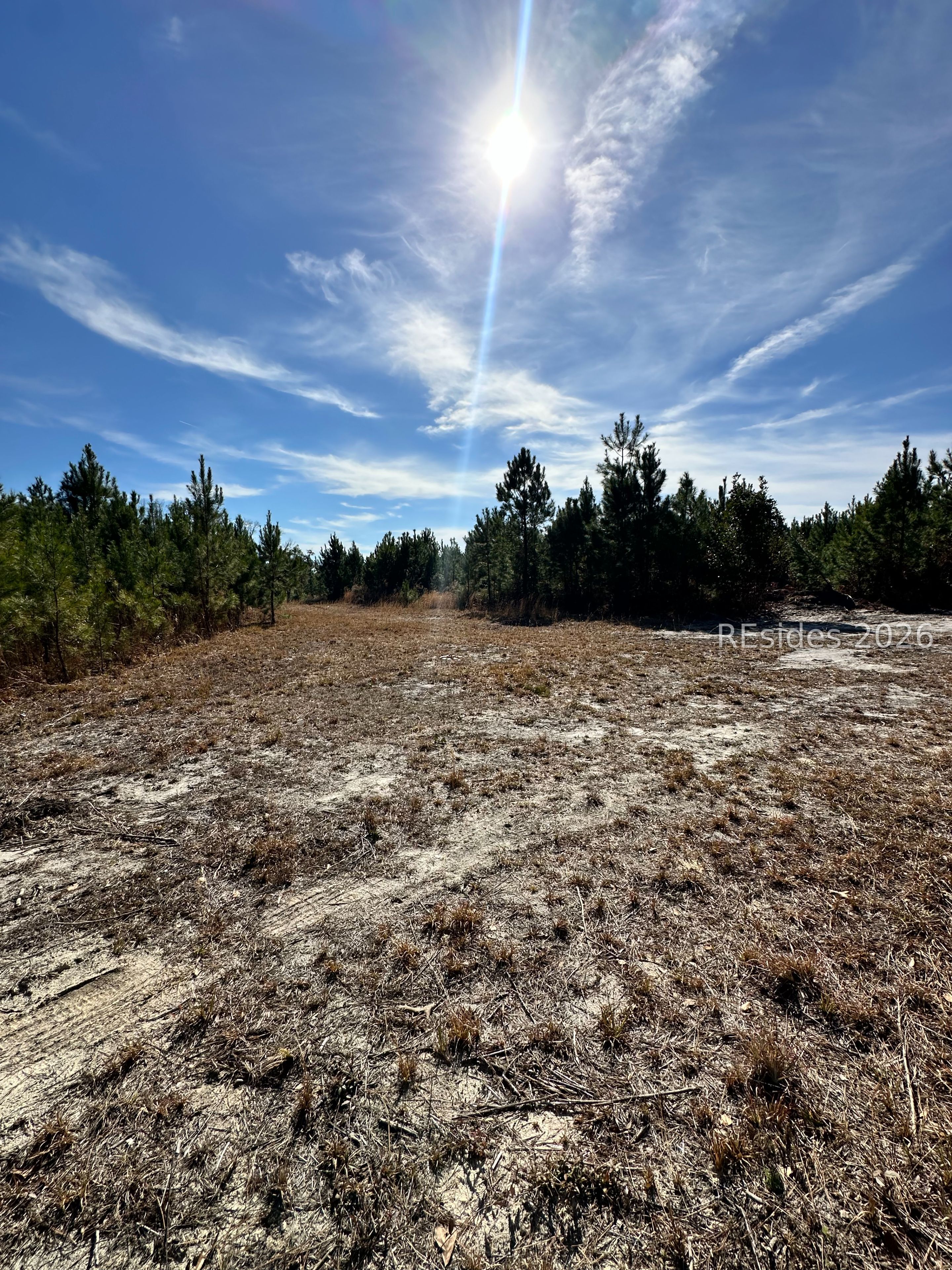 0 Spring Field Plantation Drive Ridgeland, SC 29936 - Photo 5 of 15