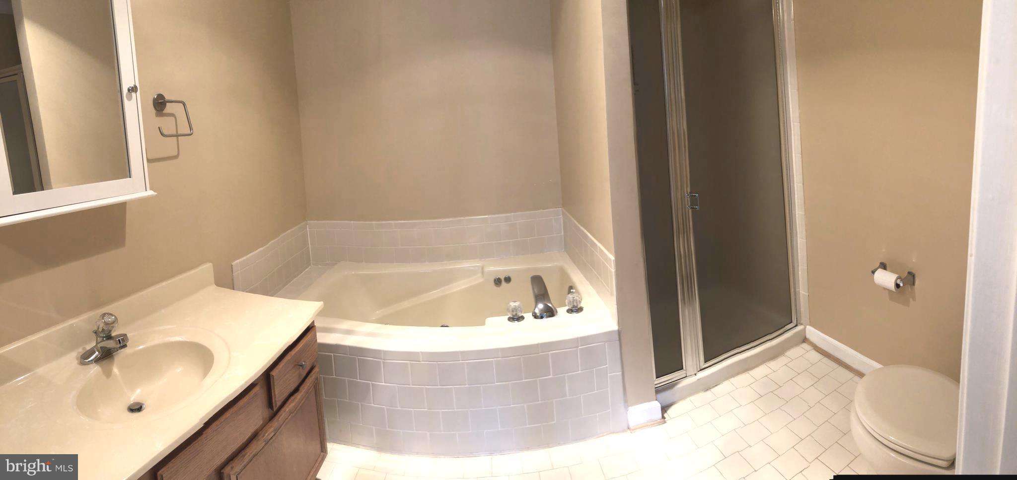 6509 Springwater Court, Unit 6202 Frederick, MD 21701 - Photo 9 of 14 Bath (Master)