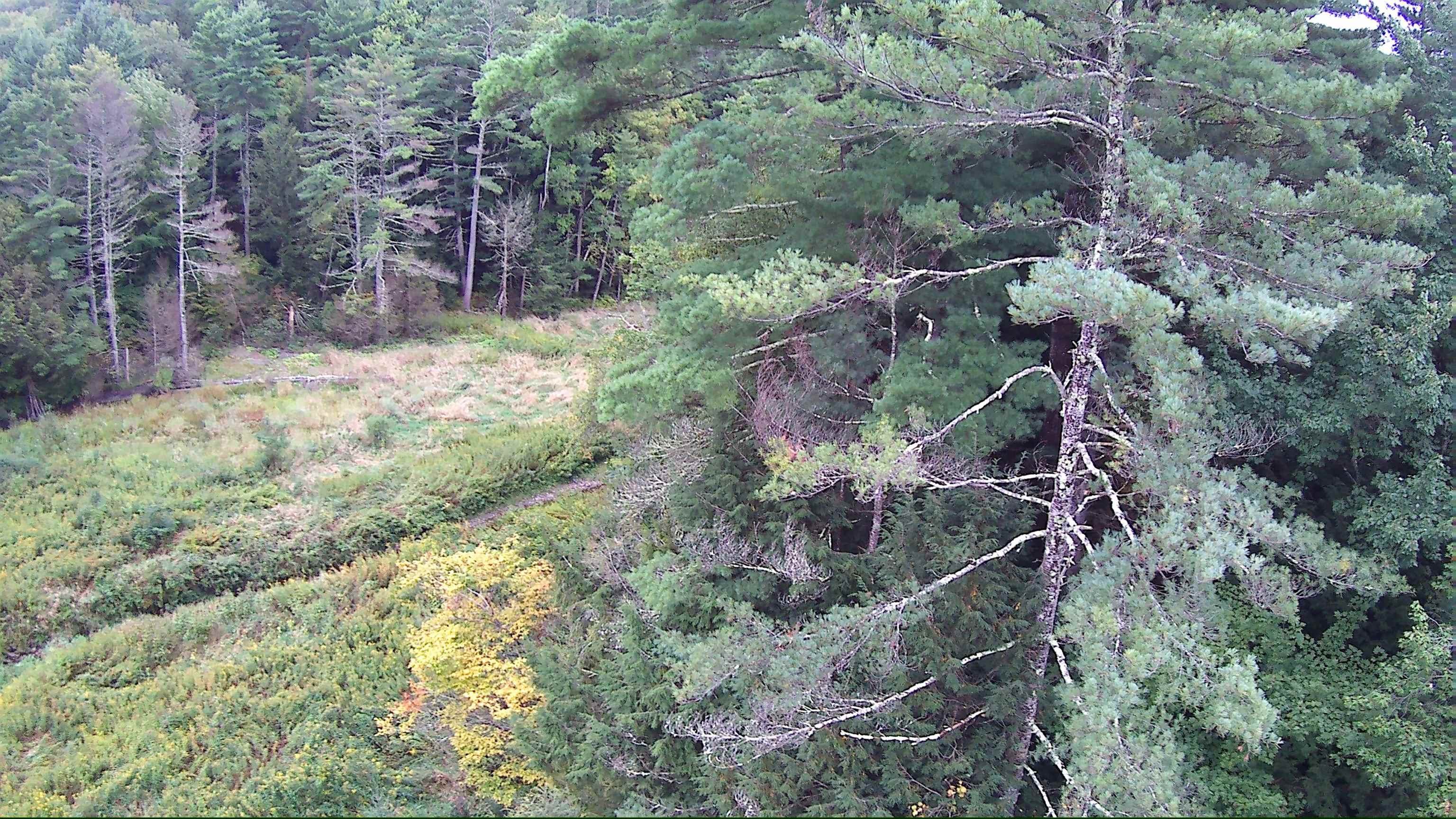 1844 Littleton Road Monroe, NH 03771 - Photo 52 of 55 Gallery Image 52