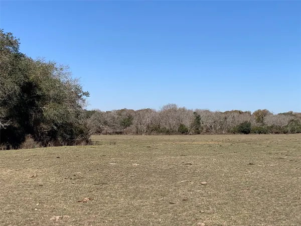 a view of an outdoor space and a yard
