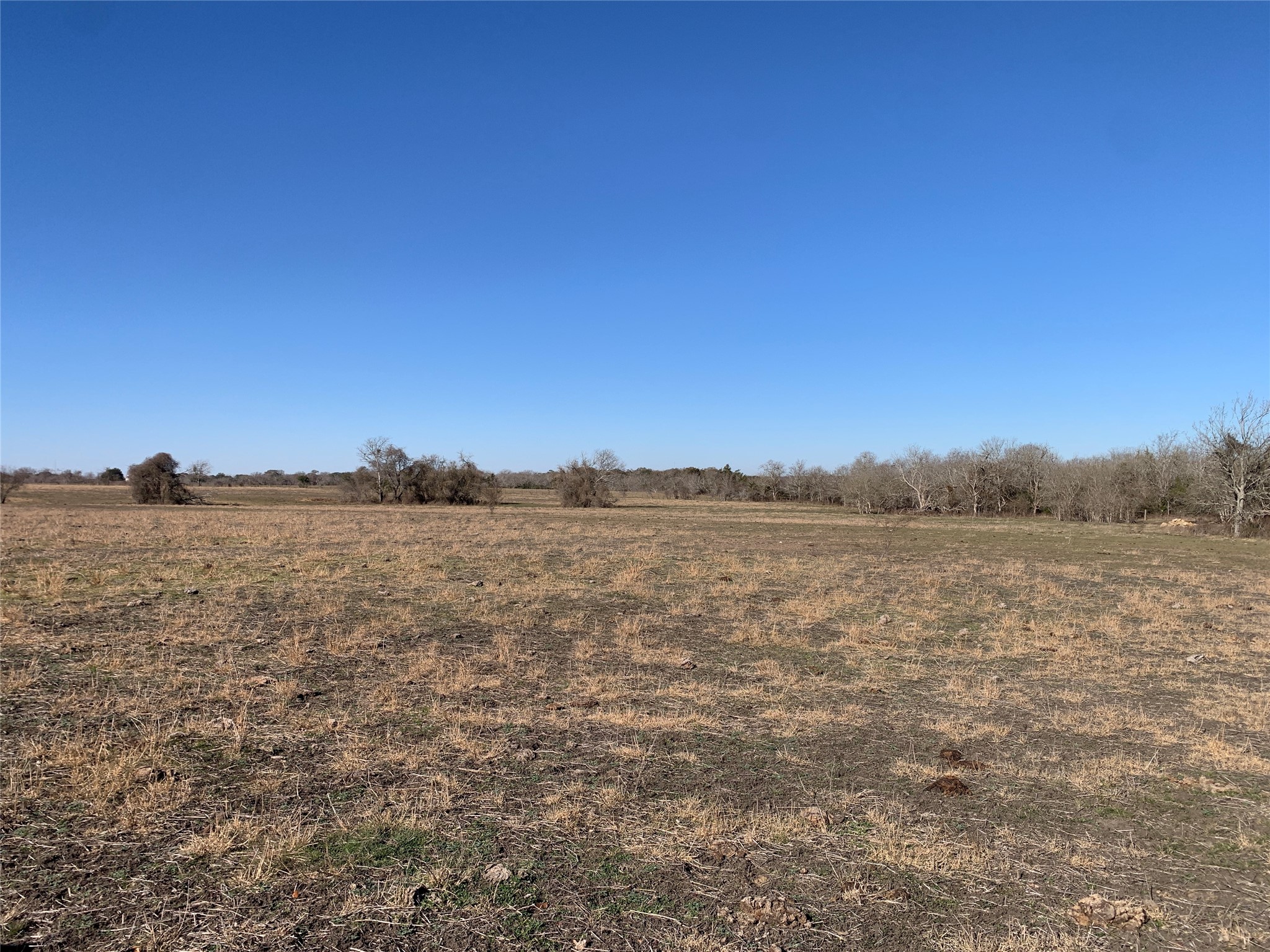 253 County Road 253 Weimar, TX 78962 - Photo 16 of 23