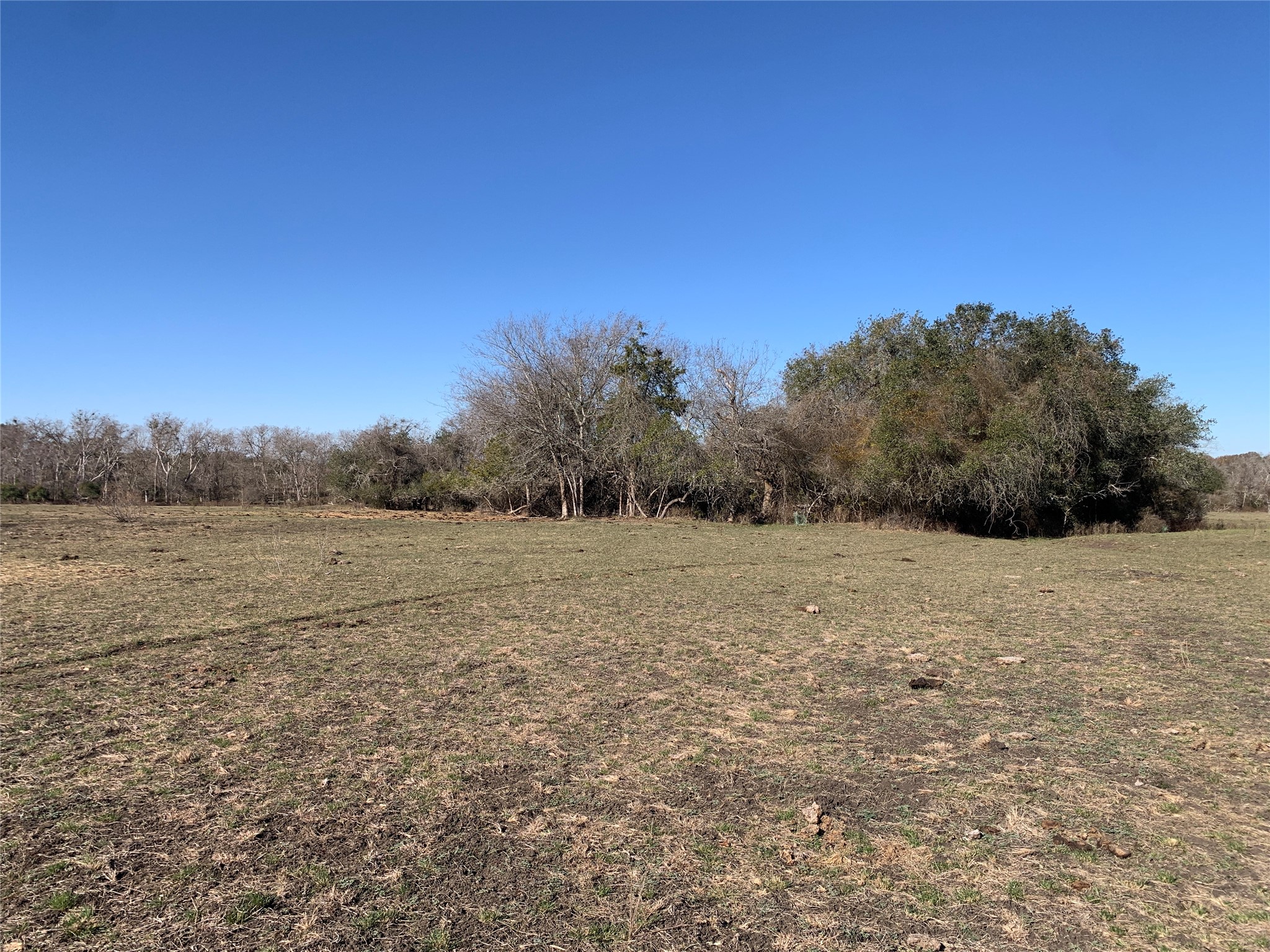 253 County Road 253 Weimar, TX 78962 - Photo 2 of 23