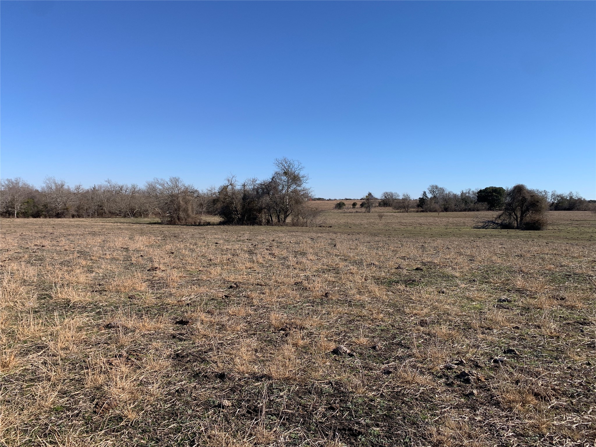 253 County Road 253 Weimar, TX 78962 - Photo 6 of 23