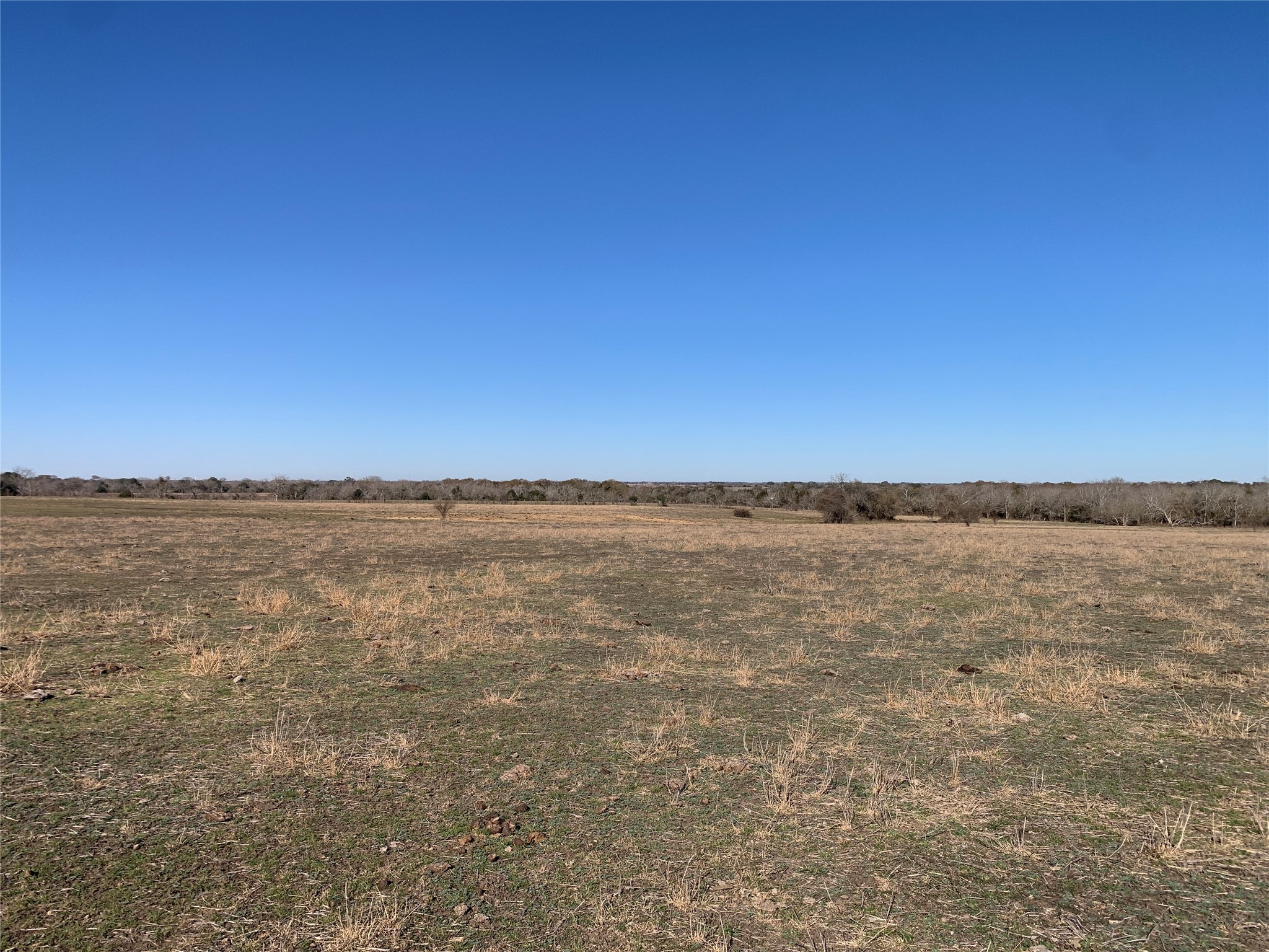 253 County Road 253 Weimar, TX 78962 - Photo 8 of 23