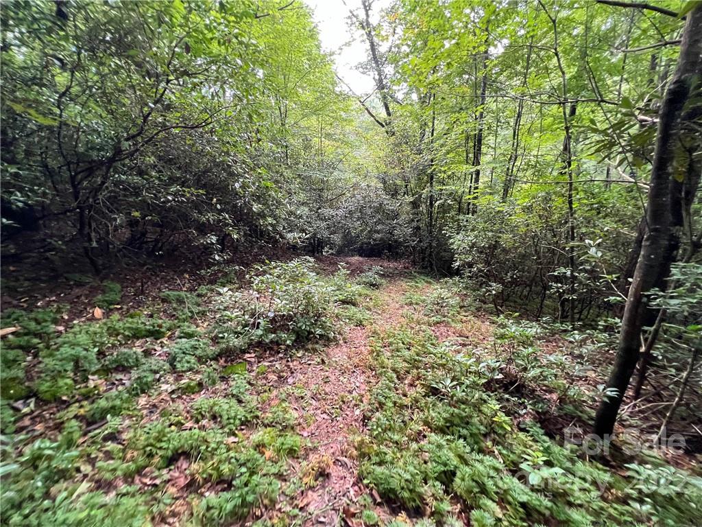 2 Kelly Mountain Road Brevard, NC 28712 - Photo 8 of 18 Gallery Image 8