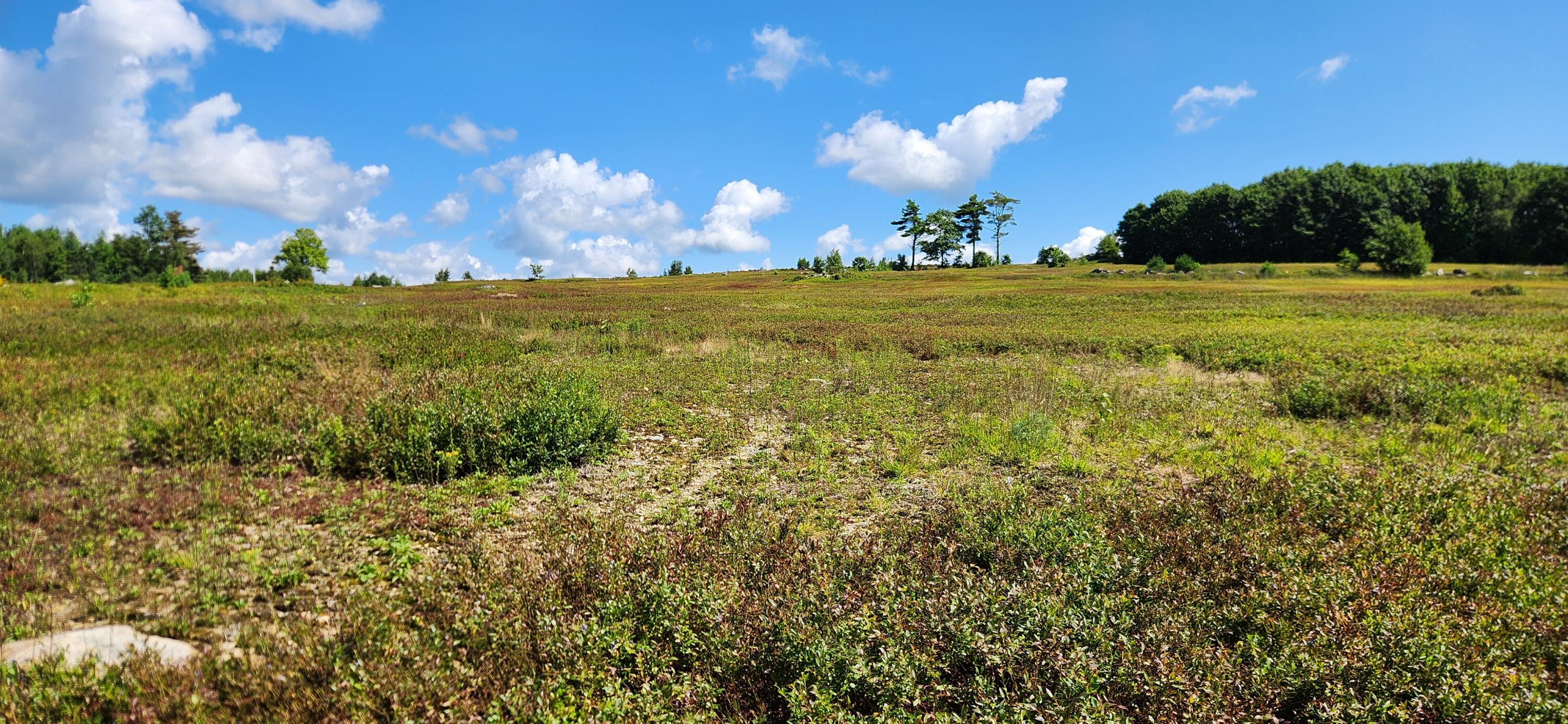 0 Upper Long Pond Road Bucksport, ME 04416 - Photo 12 of 15 20240807_111005