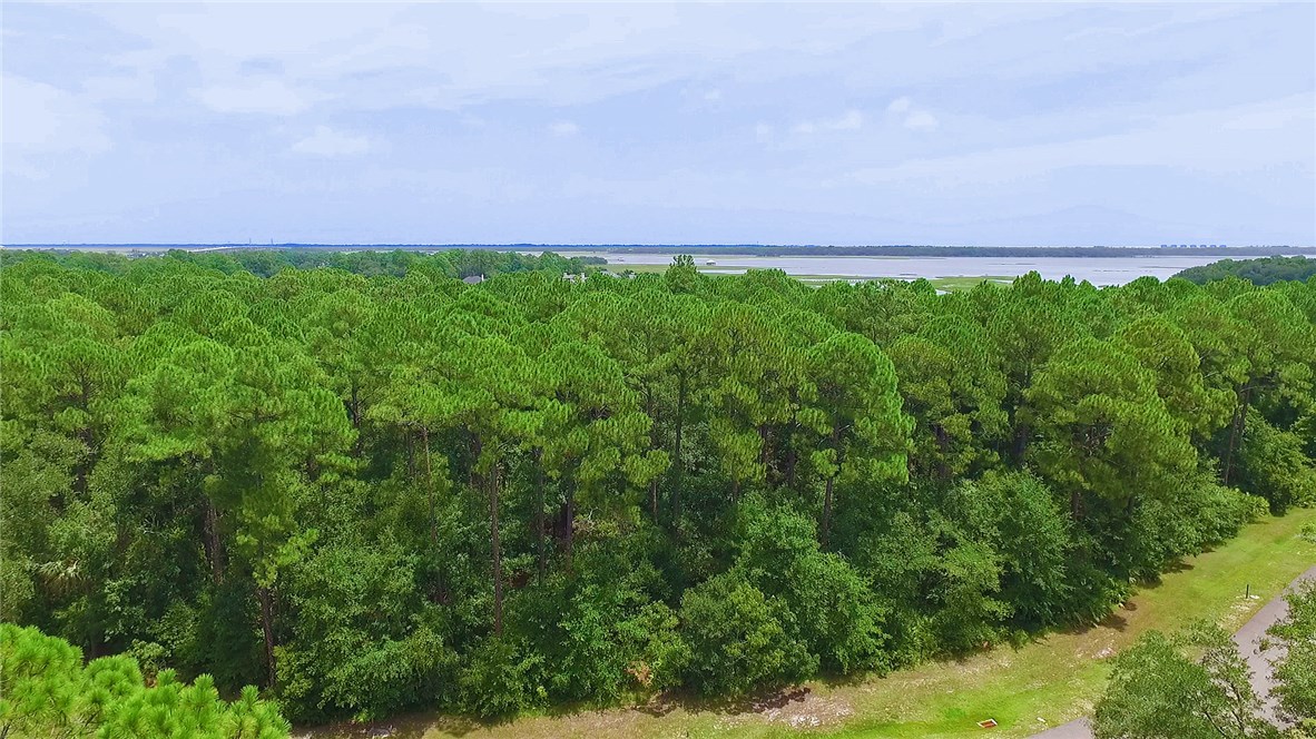 Lot 12 Brady Point Road Fernandina Beach, FL 32034 - Photo 7 of 15 Gallery Image 7