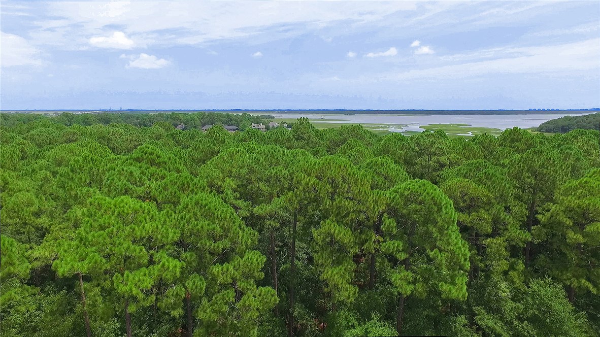 Lot 12 Brady Point Road Fernandina Beach, FL 32034 - Photo 8 of 15 Gallery Image 8