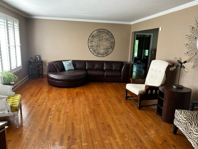128 Forestview Road Bensenville, IL 60106 - Photo 4 of 10 Gallery Image 4