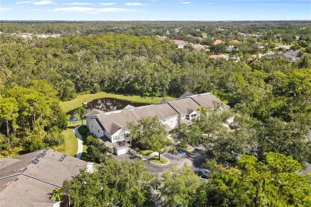 a view of a city with an ocean
