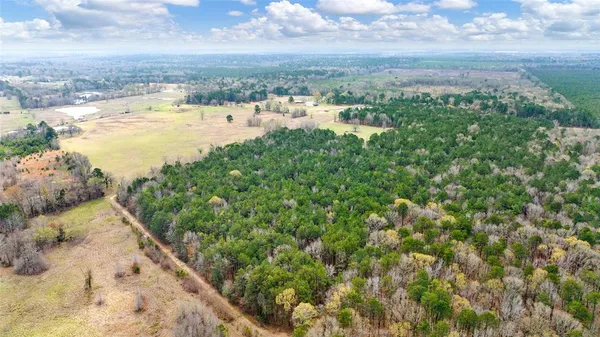 a view of city and ocean