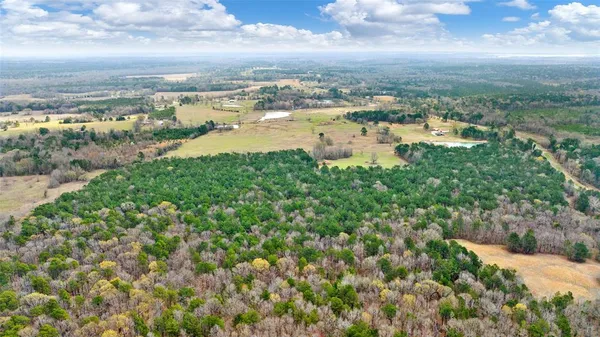 a view of a lake with a city