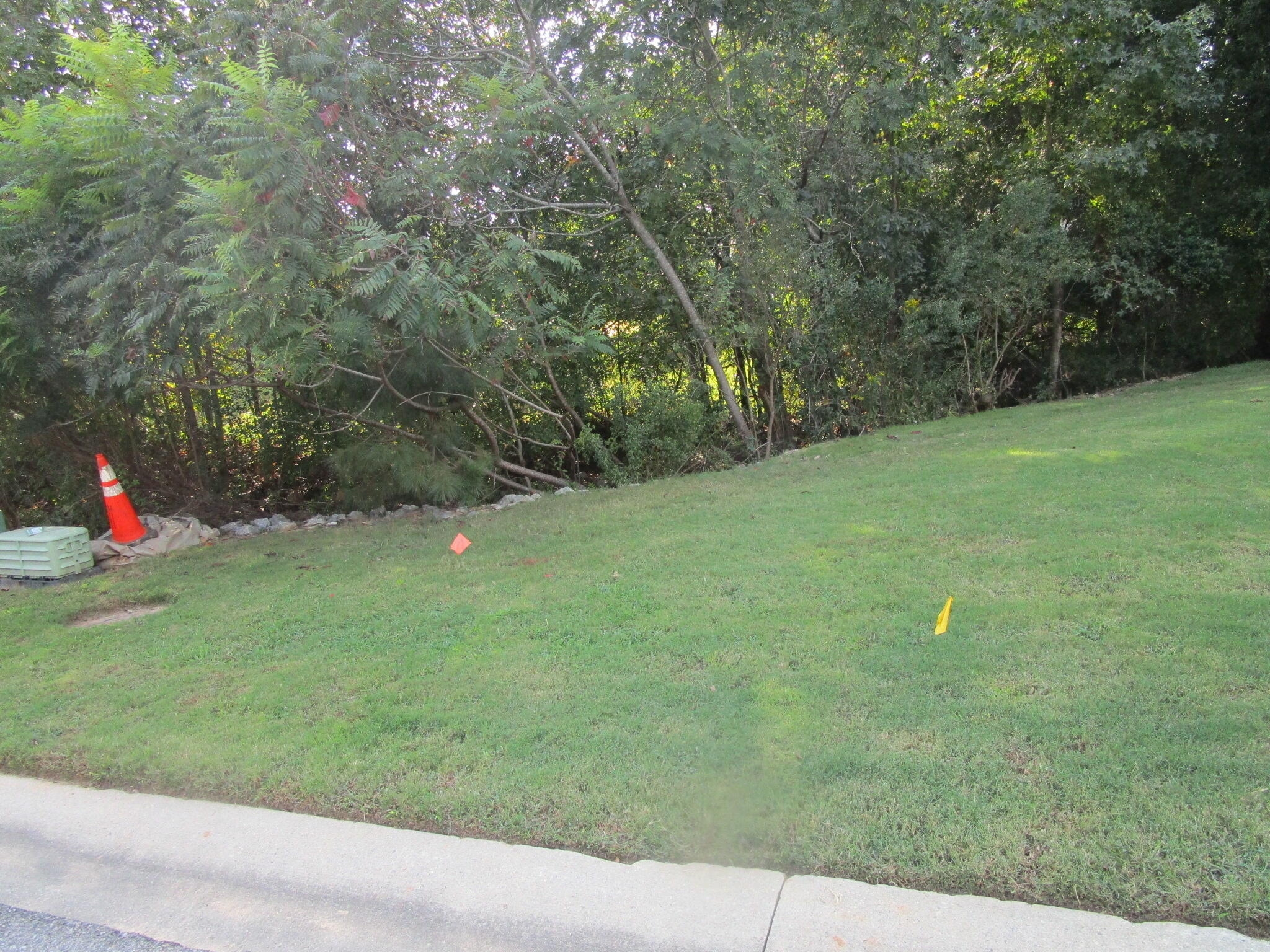 509 Walton Way Augusta, GA 30901 - Photo 1 of 1 Open view