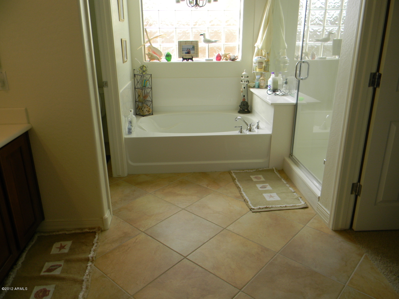 5027 West Parsons Road Phoenix, AZ 85083 - Photo 28 of 48 Master Bath