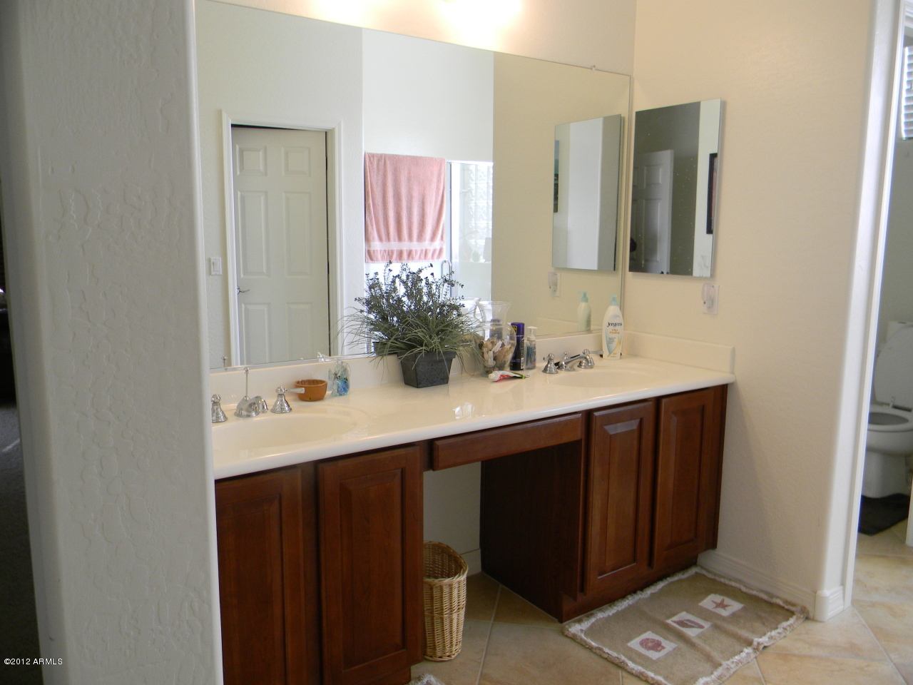 5027 West Parsons Road Phoenix, AZ 85083 - Photo 31 of 48 Master Bath