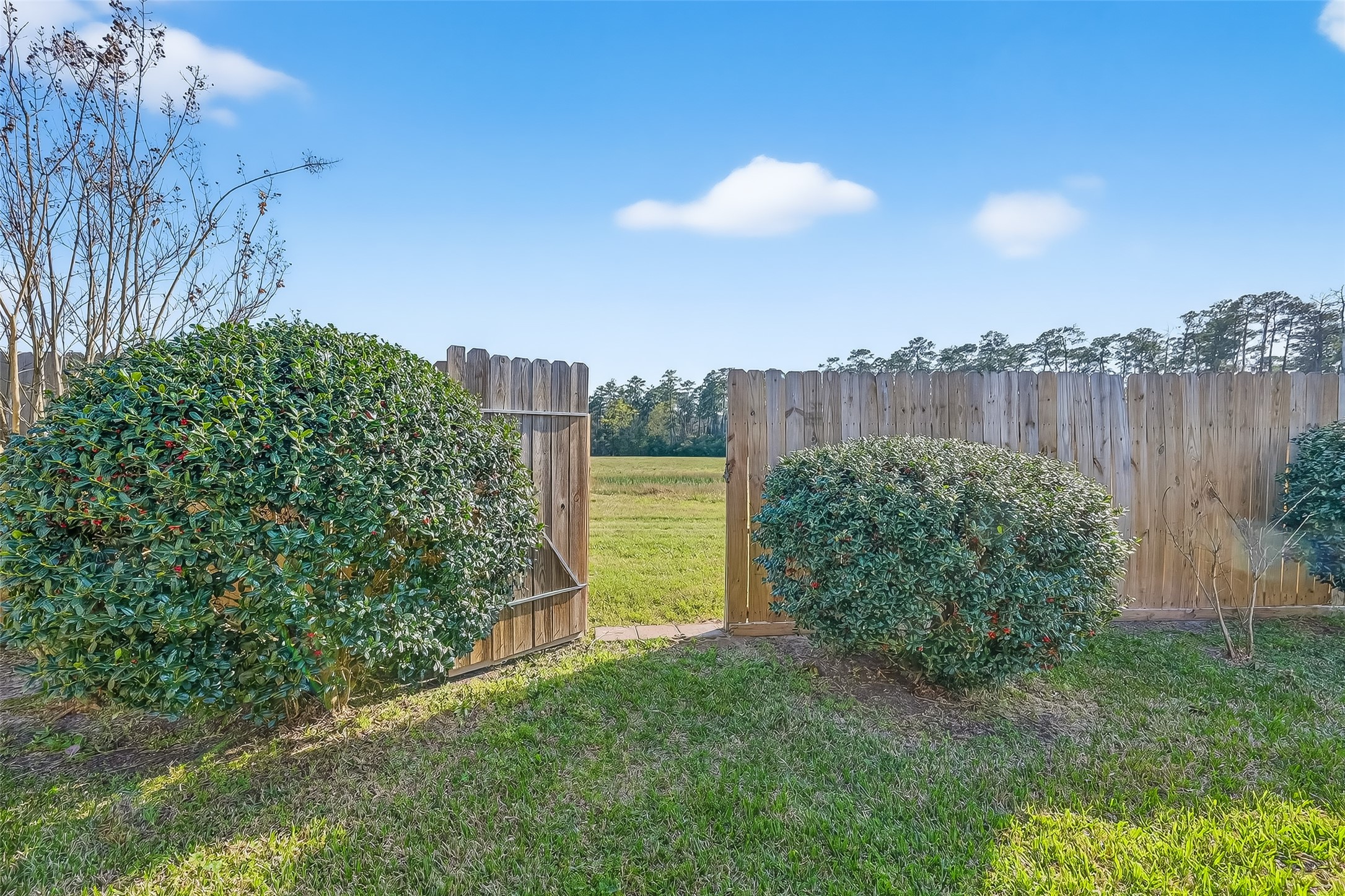 2672 Magnolia Fair Way Spring, TX 77386 - Photo 19 of 49 Direct access to Spring Creek Greenway through your private back gate.