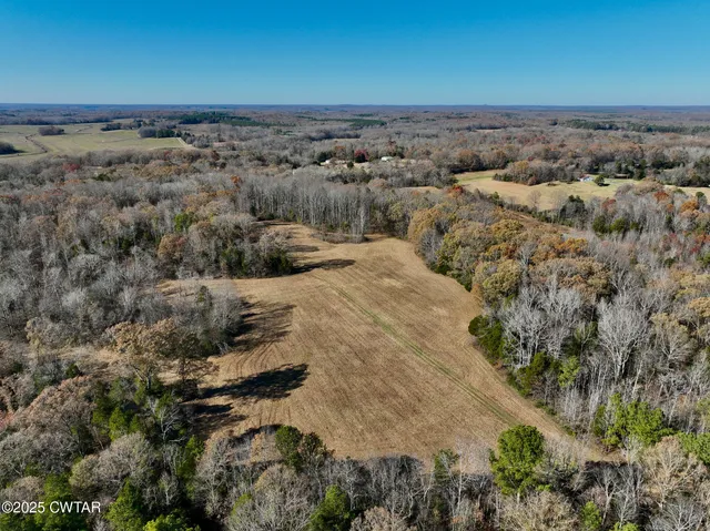 a view of a dry yard