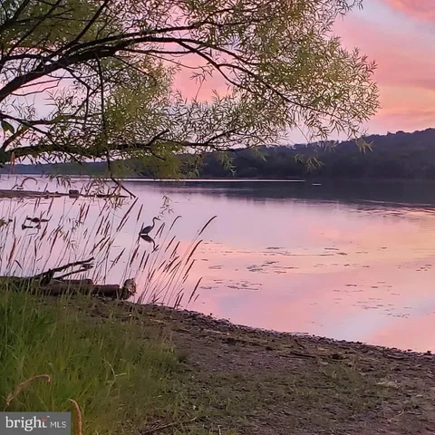 a view of a yard next to a yard
