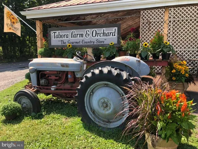 a street view with tall buildings and cars