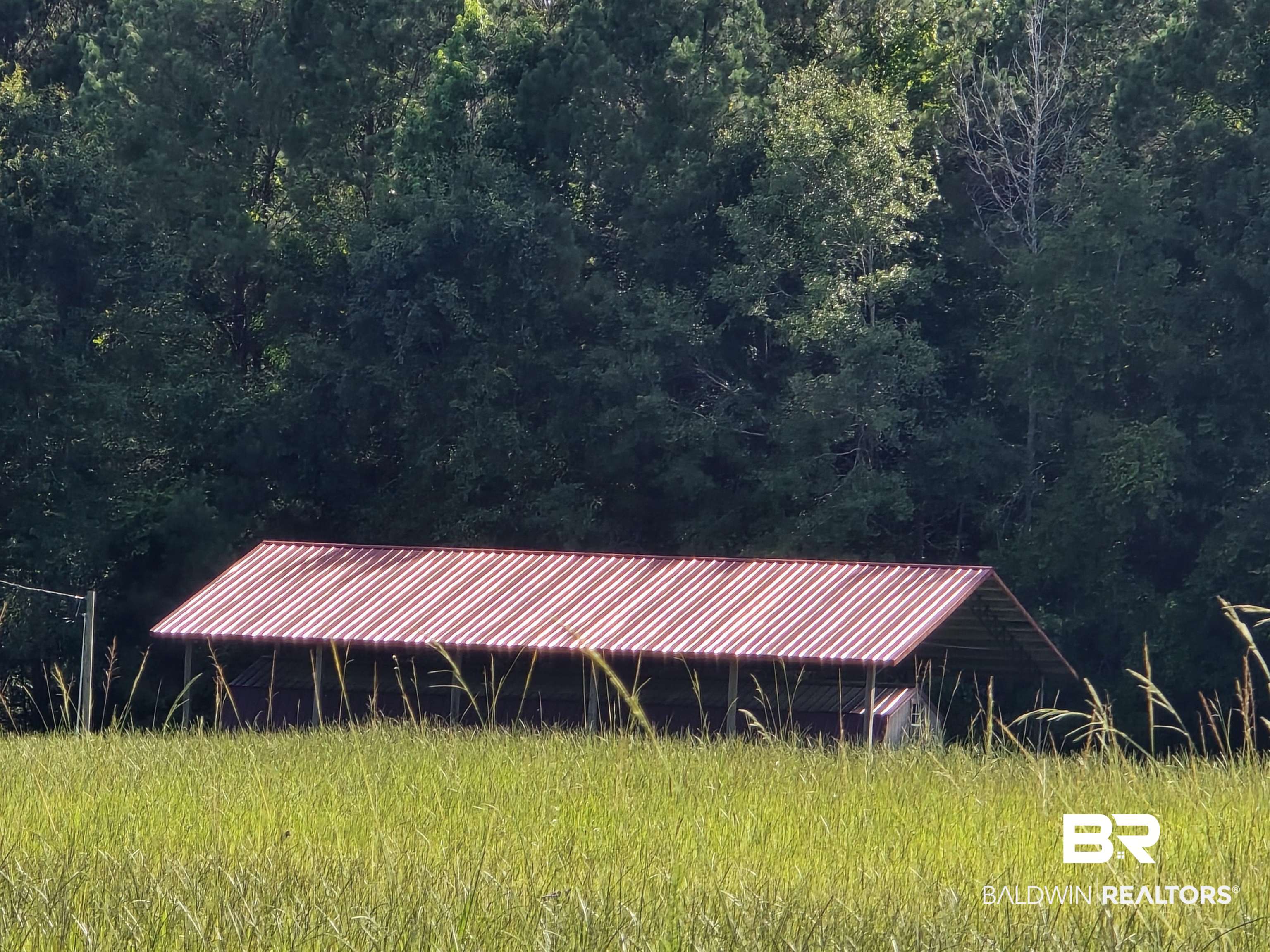 0 Langham Road Repton, AL 36475 - Photo 2 of 8