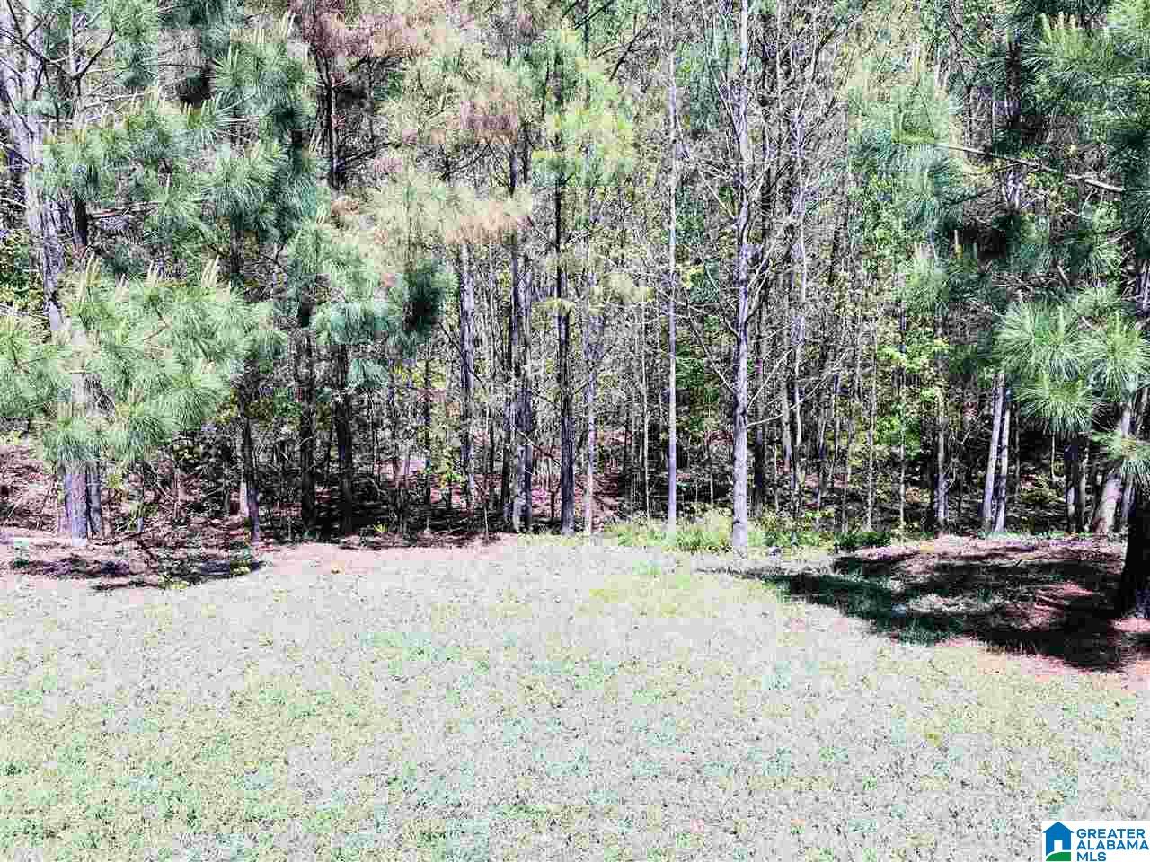 201 Cove Lane Pelham, AL 35124 - Photo 37 of 41
