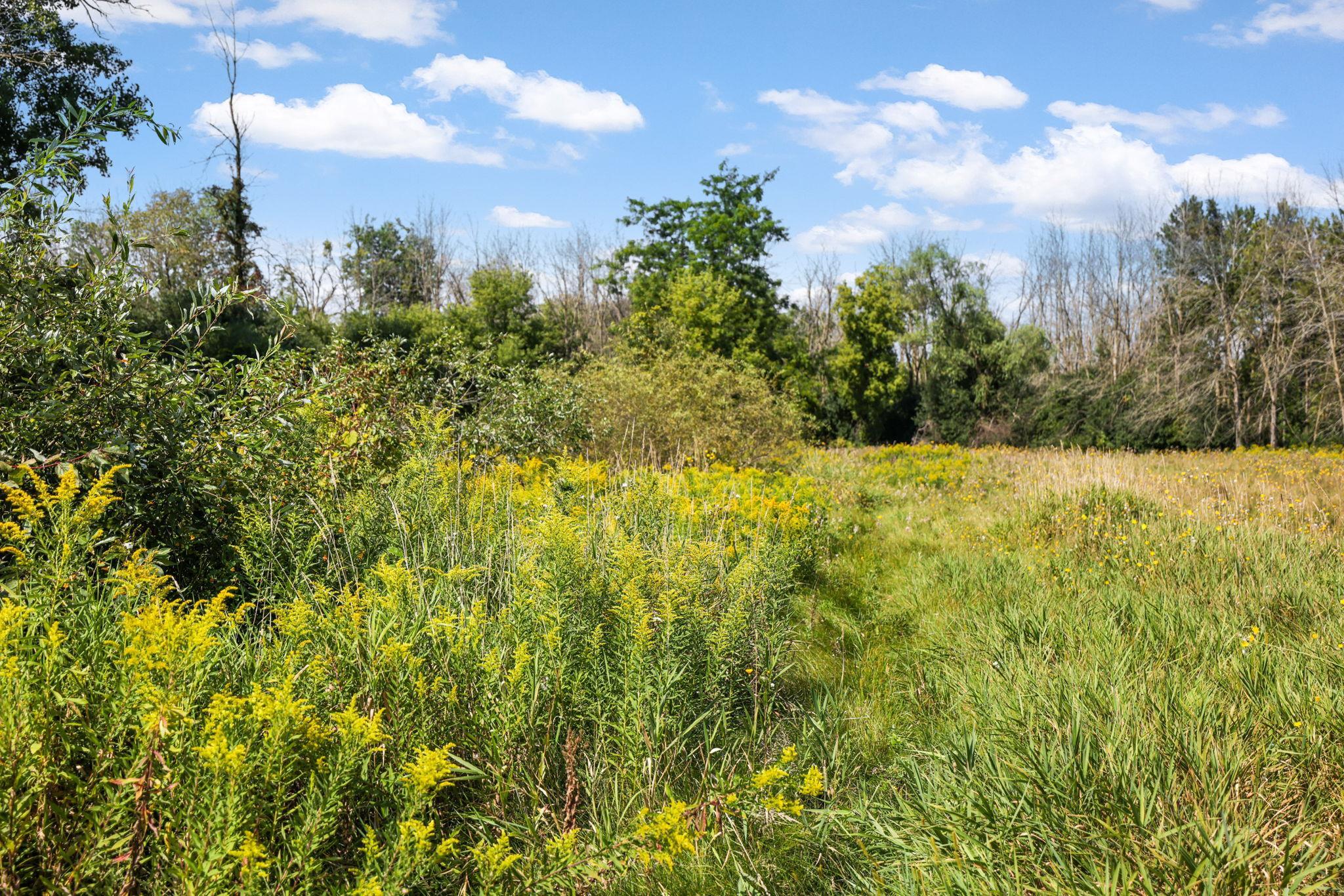 N2579 Hampel Road Appleton, WI 54913 - Photo 81 of 89 Gallery Image 81