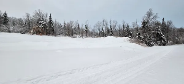 $215,000 | L10 11 & 3, St. David, ME 04773