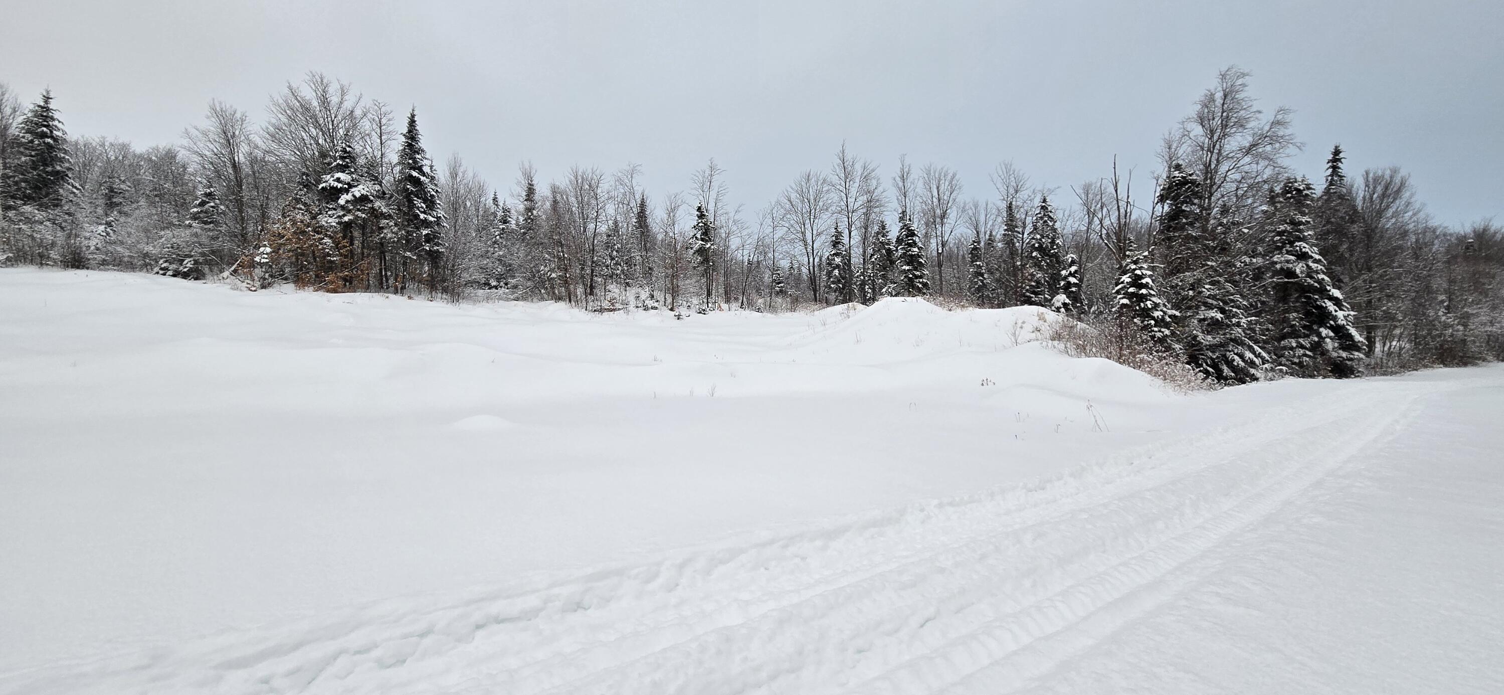 L10 11 & 3 St. David, ME 04773 - Photo 13 of 31 20260119_155911