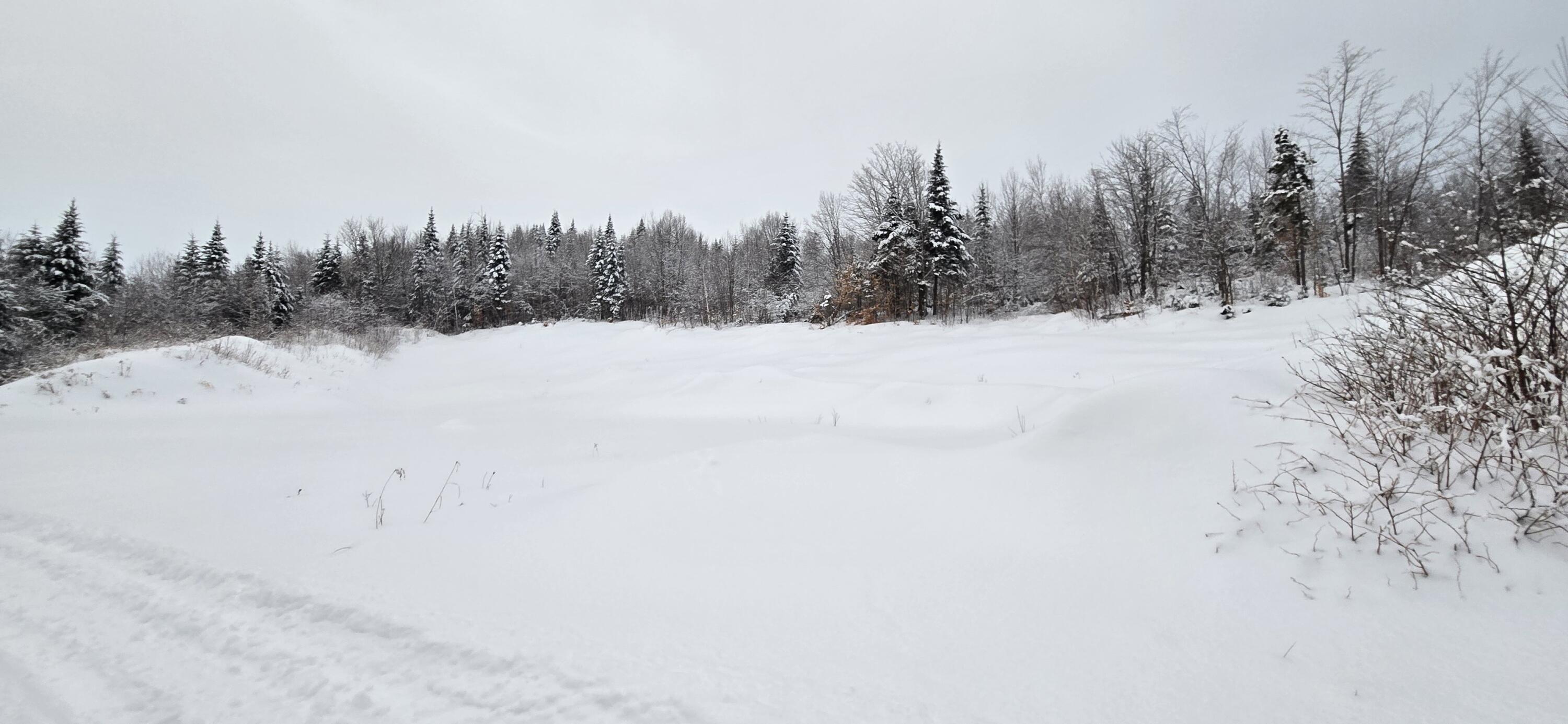 L10 11 & 3 St. David, ME 04773 - Photo 14 of 31 20260119_155922