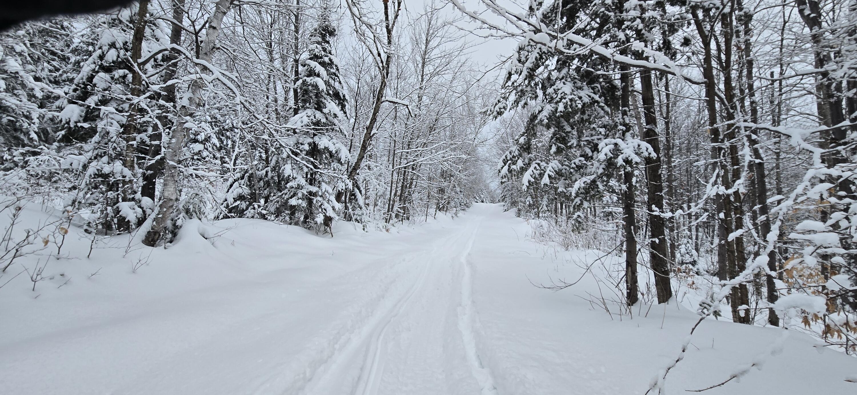 L10 11 & 3 St. David, ME 04773 - Photo 17 of 31 20260119_160330