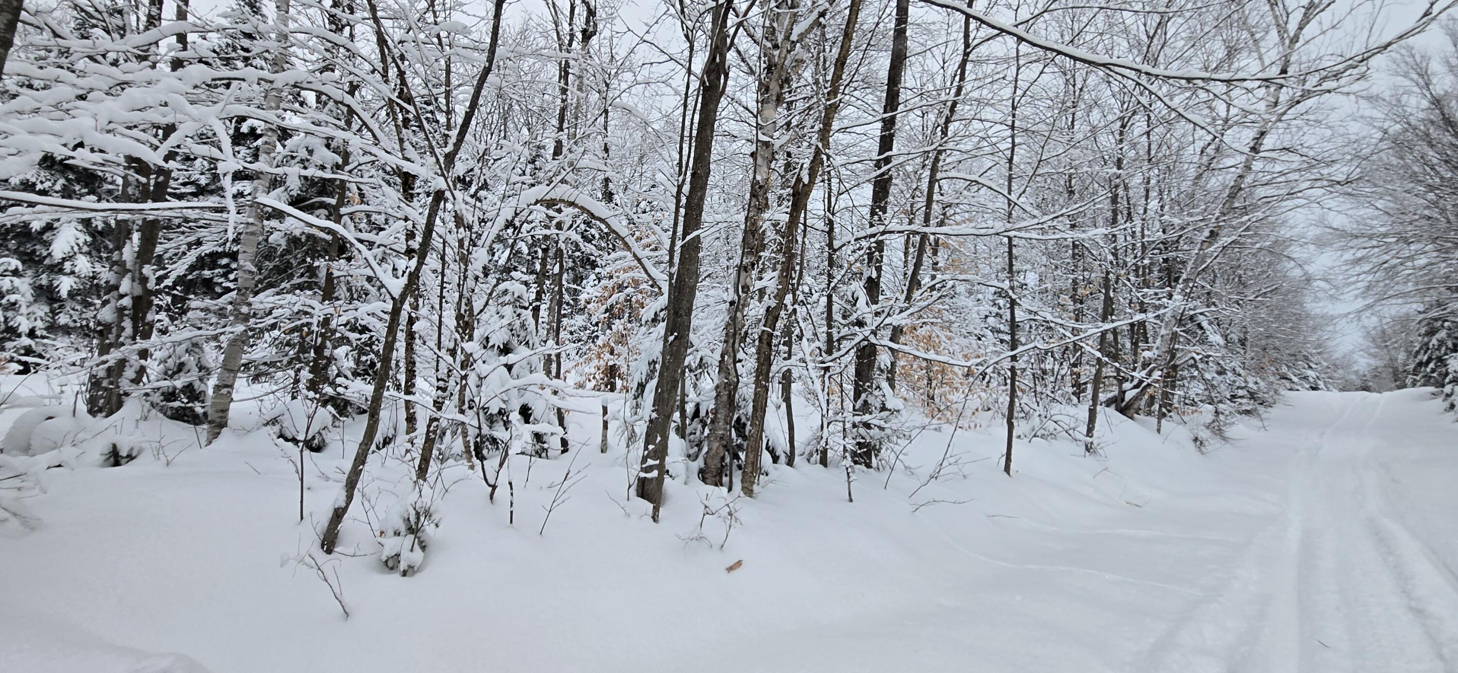 L10 11 & 3 St. David, ME 04773 - Photo 19 of 31 20260119_160343