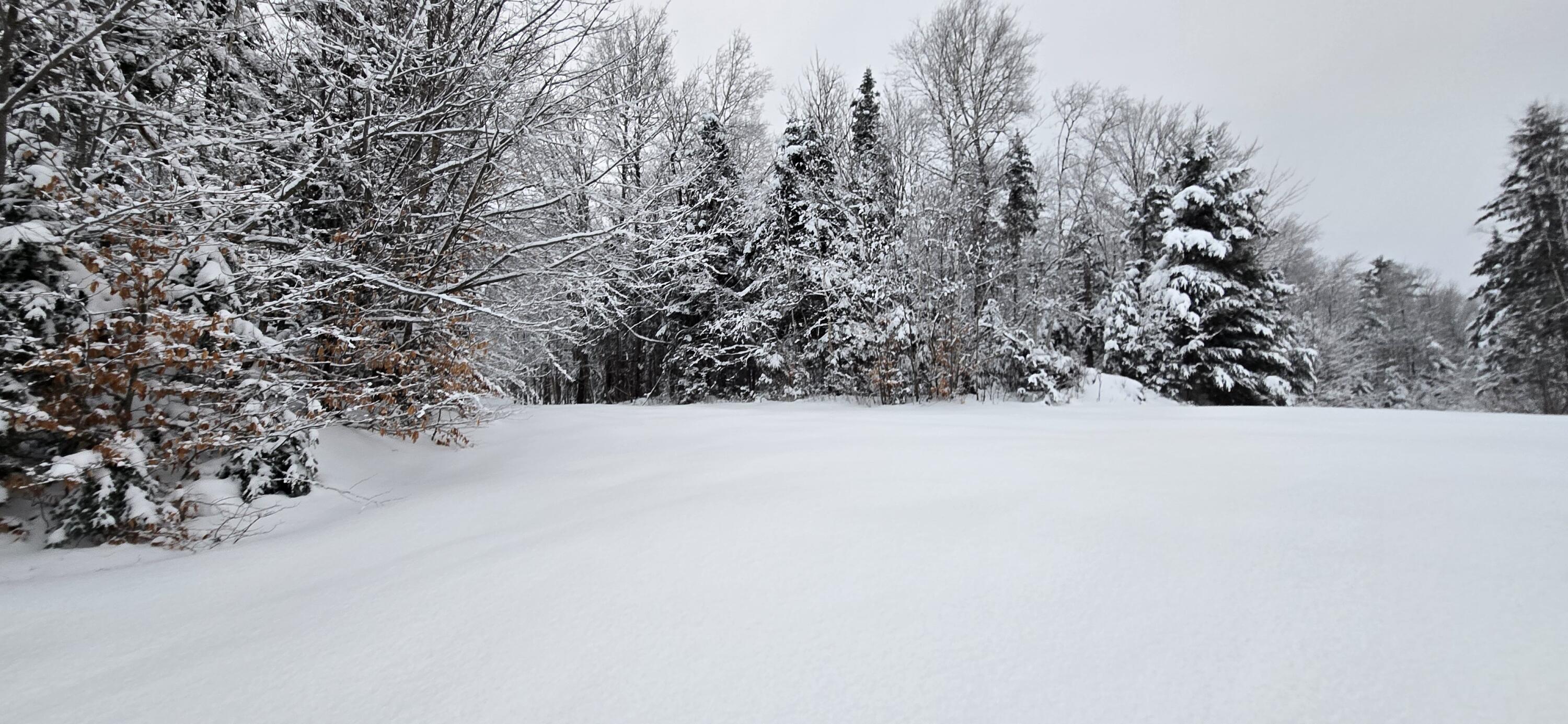 L10 11 & 3 St. David, ME 04773 - Photo 20 of 31 20260119_160512