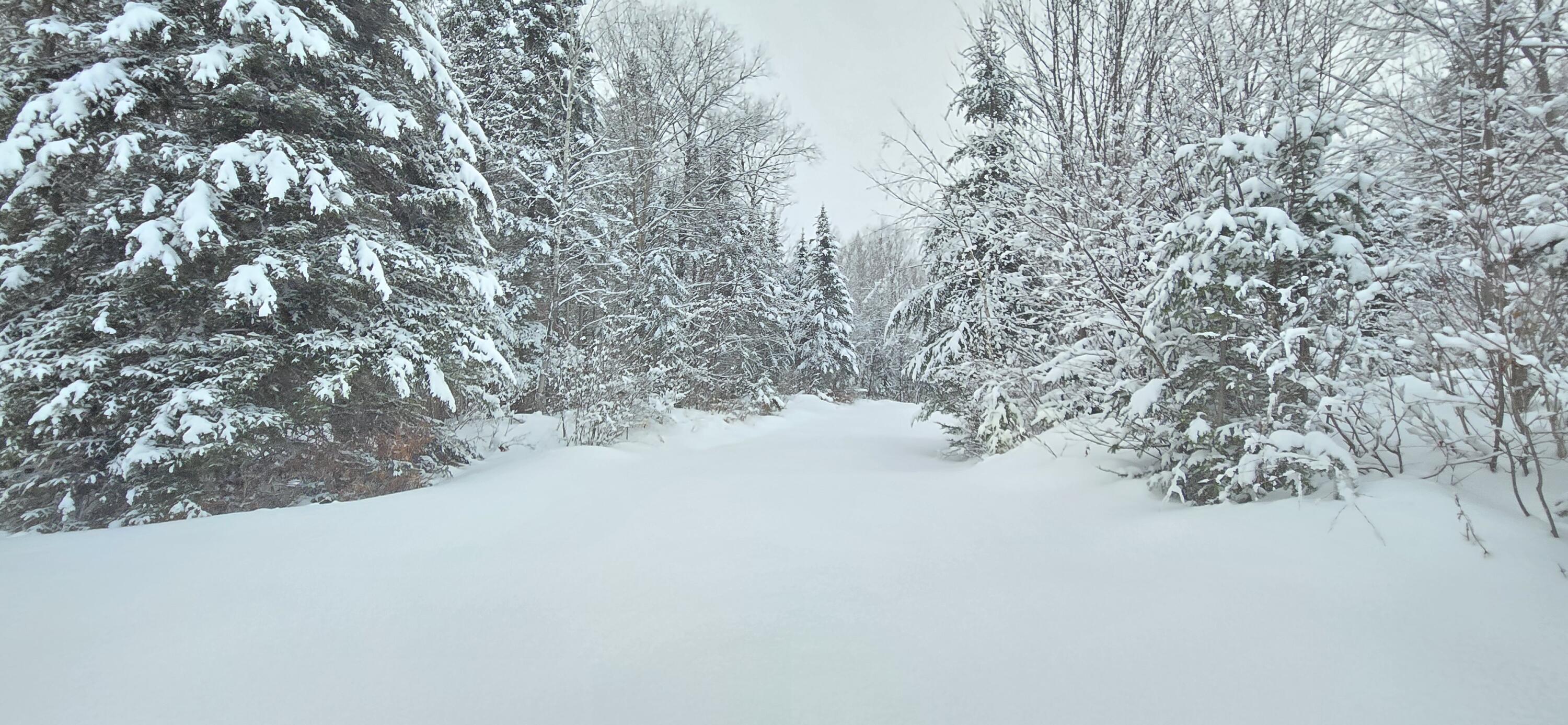 L10 11 & 3 St. David, ME 04773 - Photo 21 of 31 20260119_160607