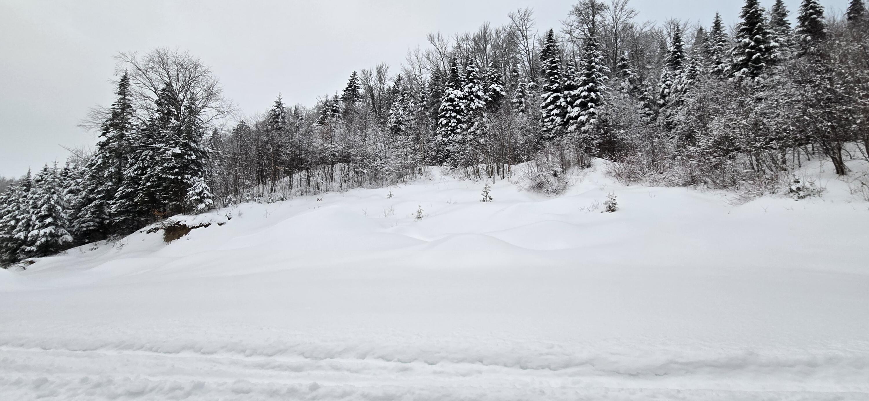 L10 11 & 3 St. David, ME 04773 - Photo 24 of 31 20260119_155815