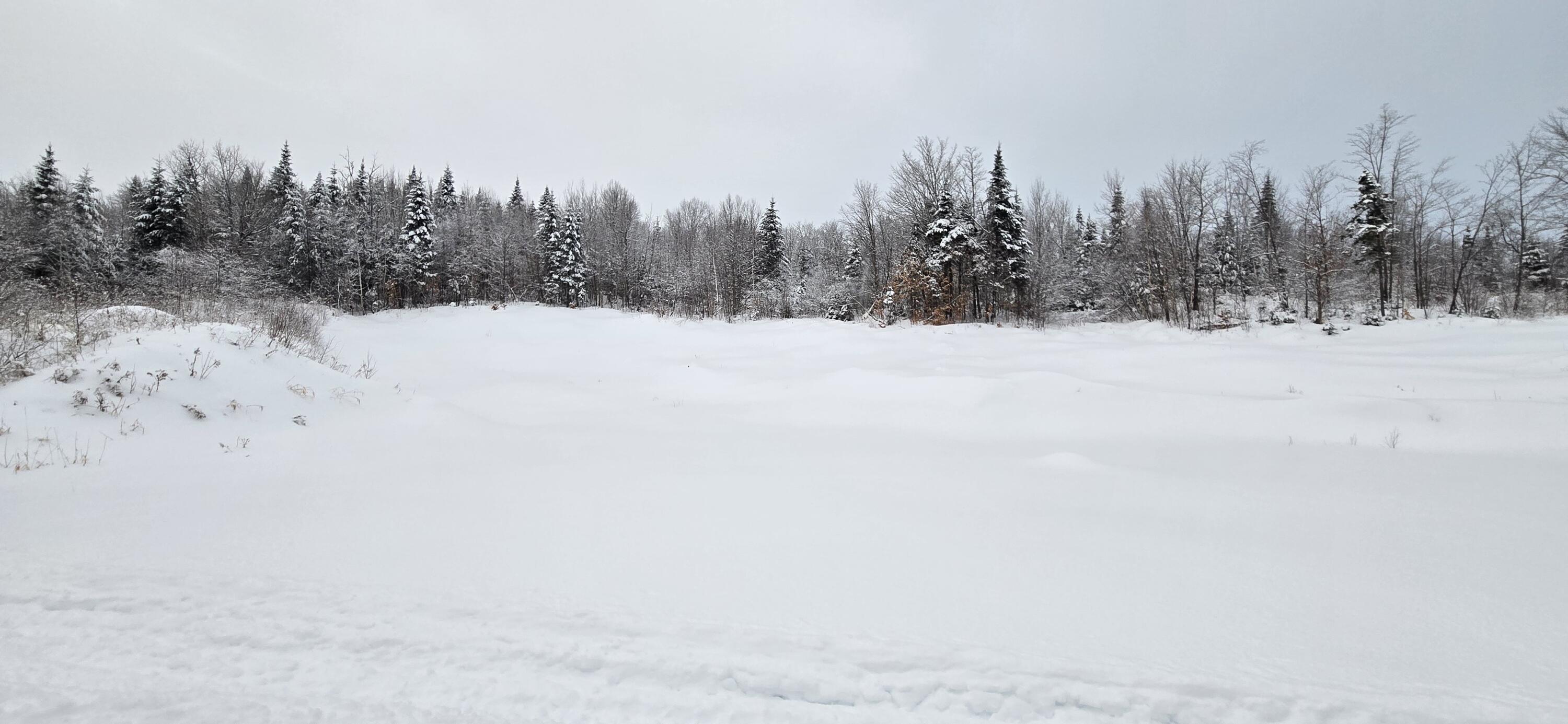 L10 11 & 3 St. David, ME 04773 - Photo 25 of 31 20260119_155914