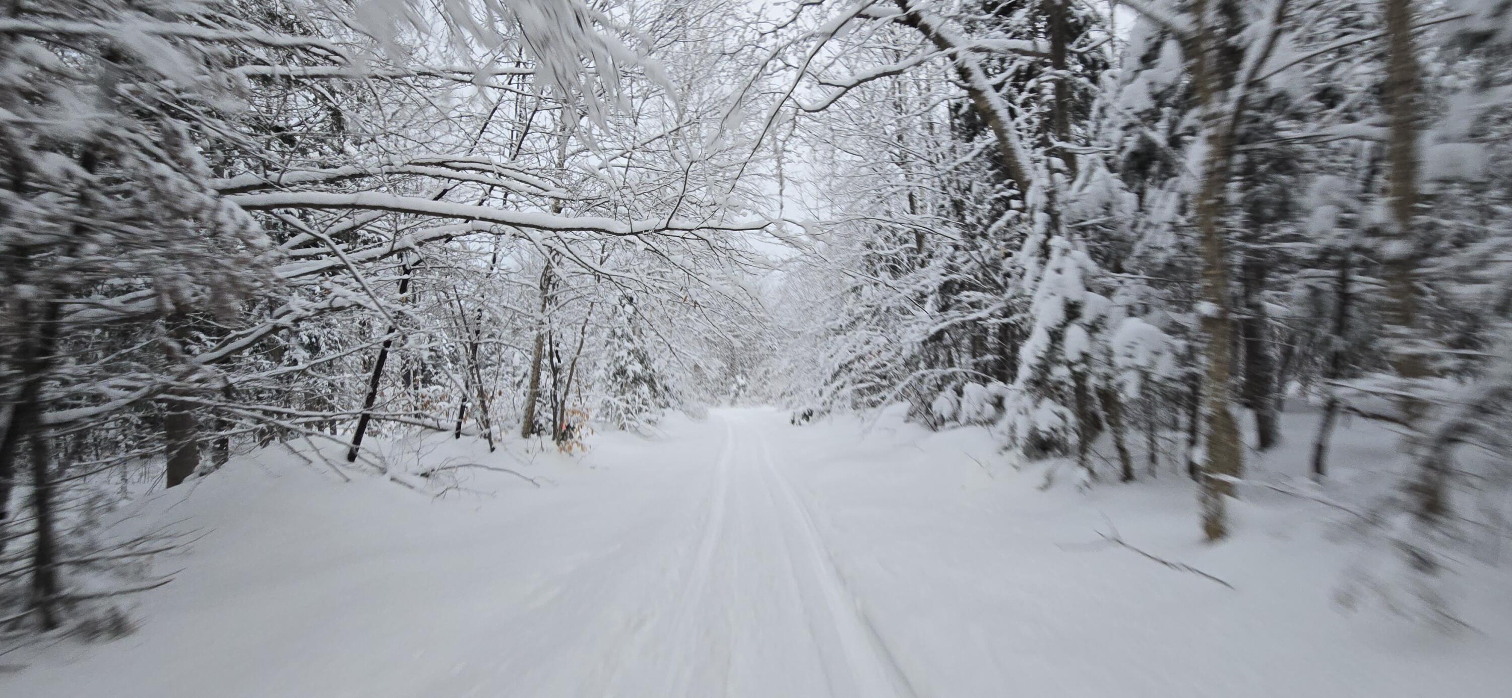 L10 11 & 3 St. David, ME 04773 - Photo 26 of 31 20260119_160240