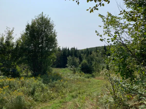 $215,000 | L10 11 & 3, St. David, ME 04773