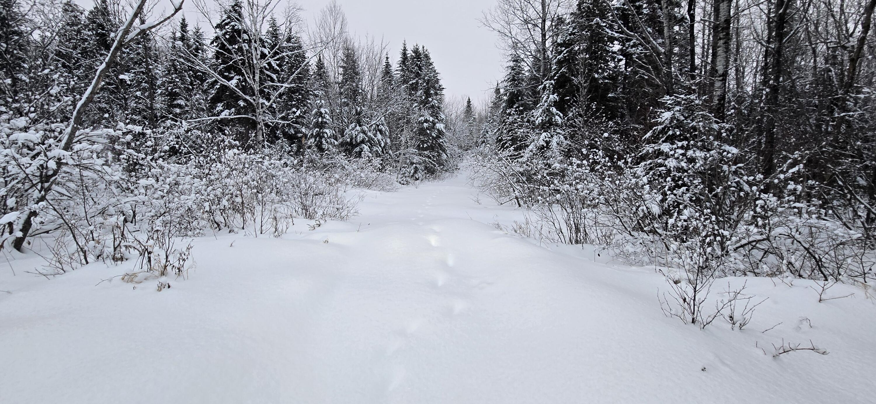 L10 11 & 3 St. David, ME 04773 - Photo 31 of 31 20260119_160743