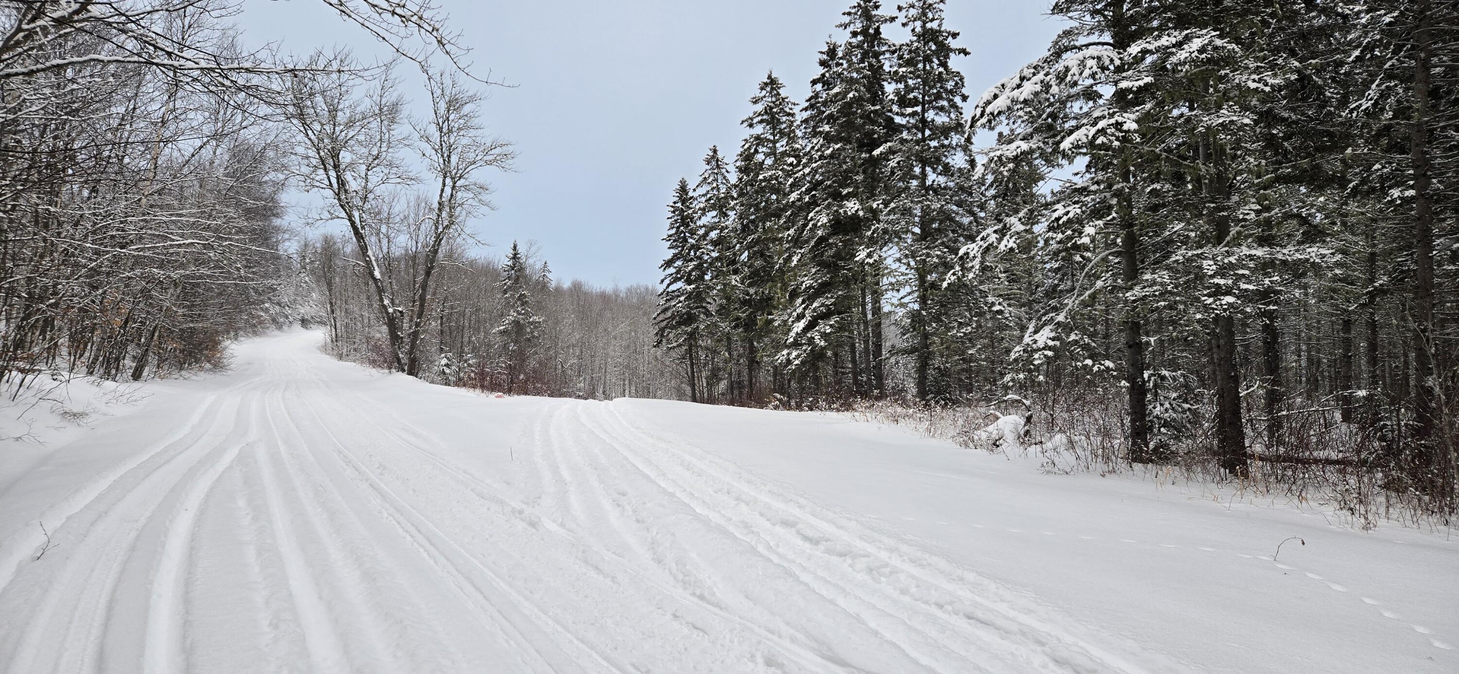 L10 11 & 3 St. David, ME 04773 - Photo 4 of 31 20260119_155631