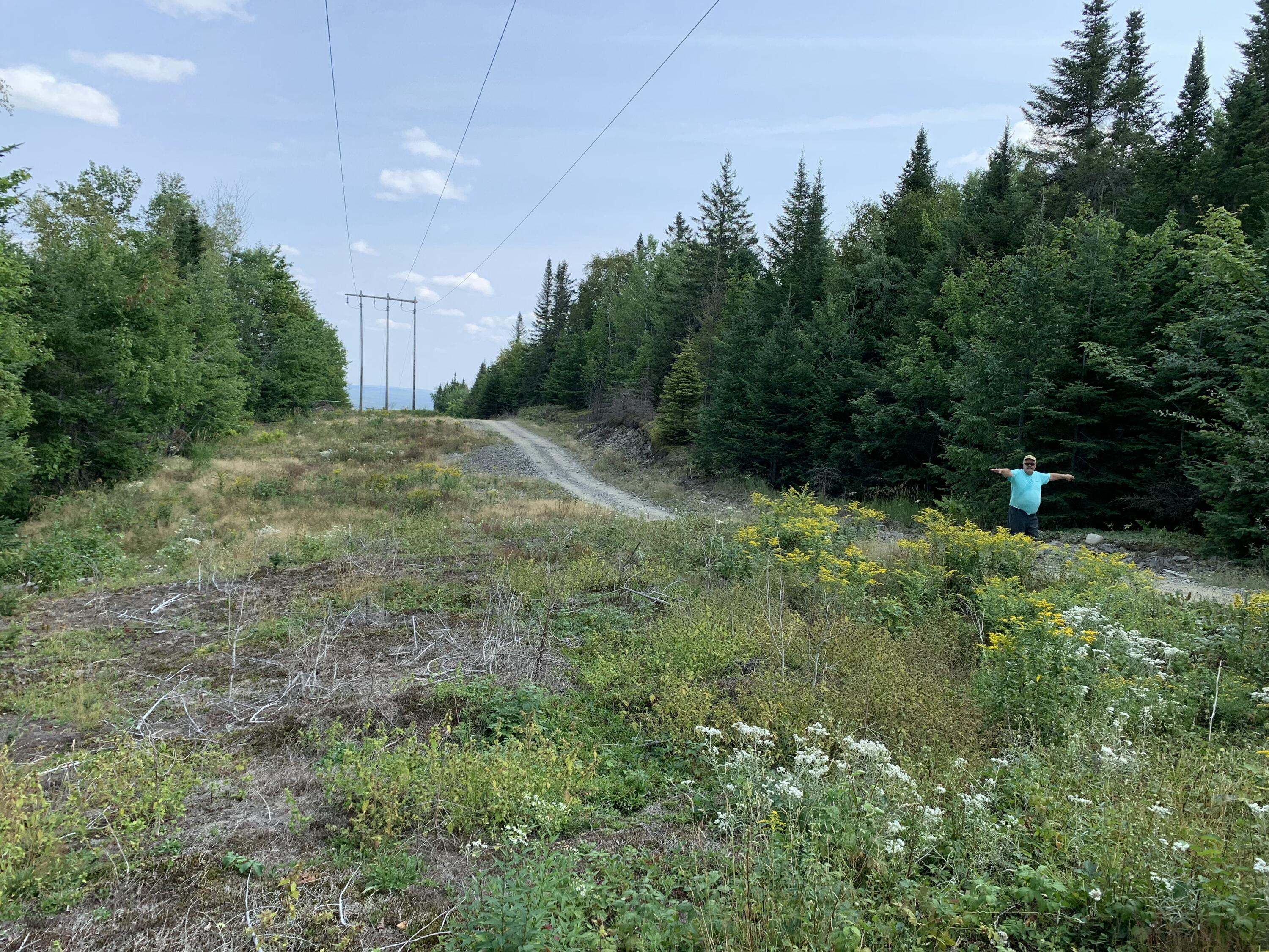 L10 11 & 3 St. David, ME 04773 - Photo 5 of 31 IMG_9509