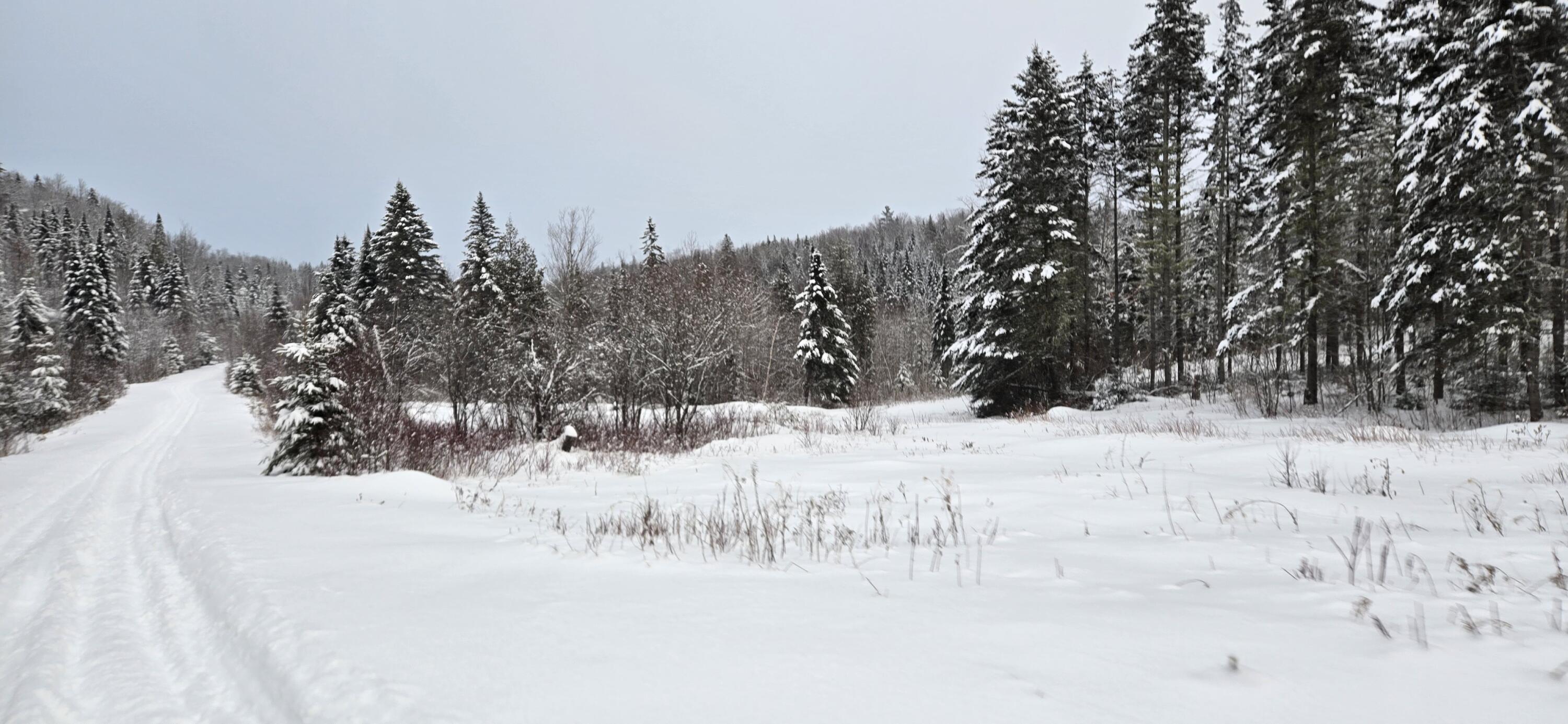 L10 11 & 3 St. David, ME 04773 - Photo 6 of 31 20260119_155706