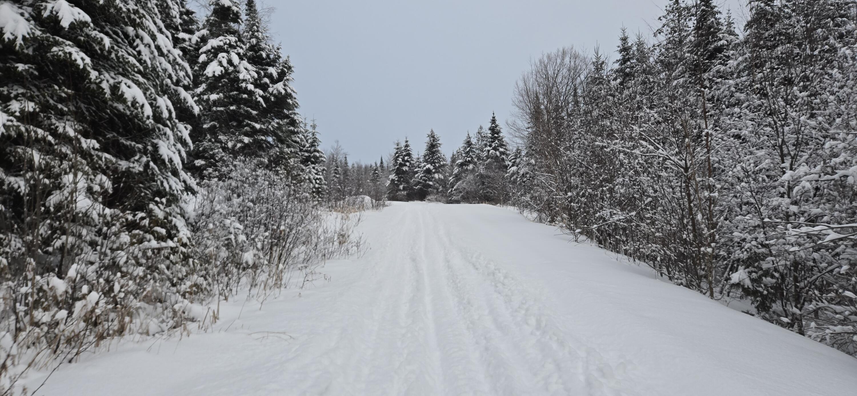 L10 11 & 3 St. David, ME 04773 - Photo 9 of 31 20260119_155732