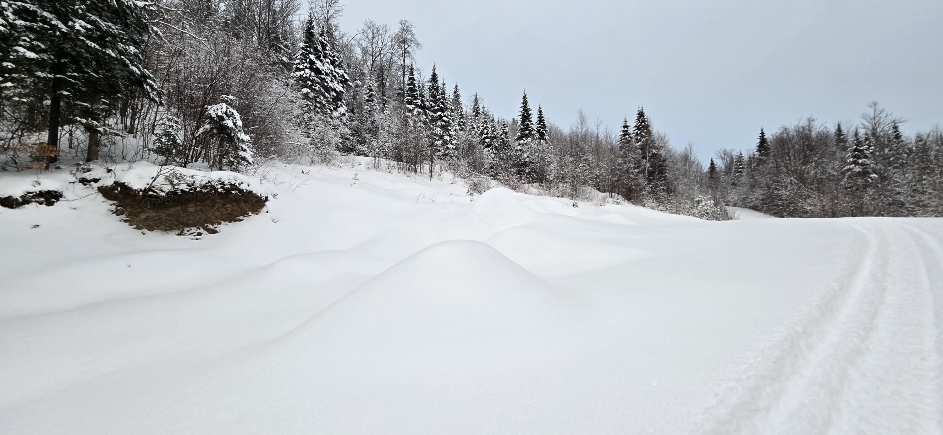 L10 11 & 3 St. David, ME 04773 - Photo 10 of 31 20260119_155759