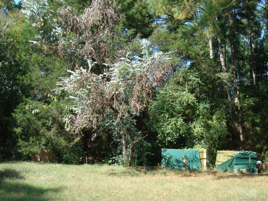 2655 Holbrook Road Fort Mill, SC 29715 - Photo 22 of 23 a view of outdoor space and yard